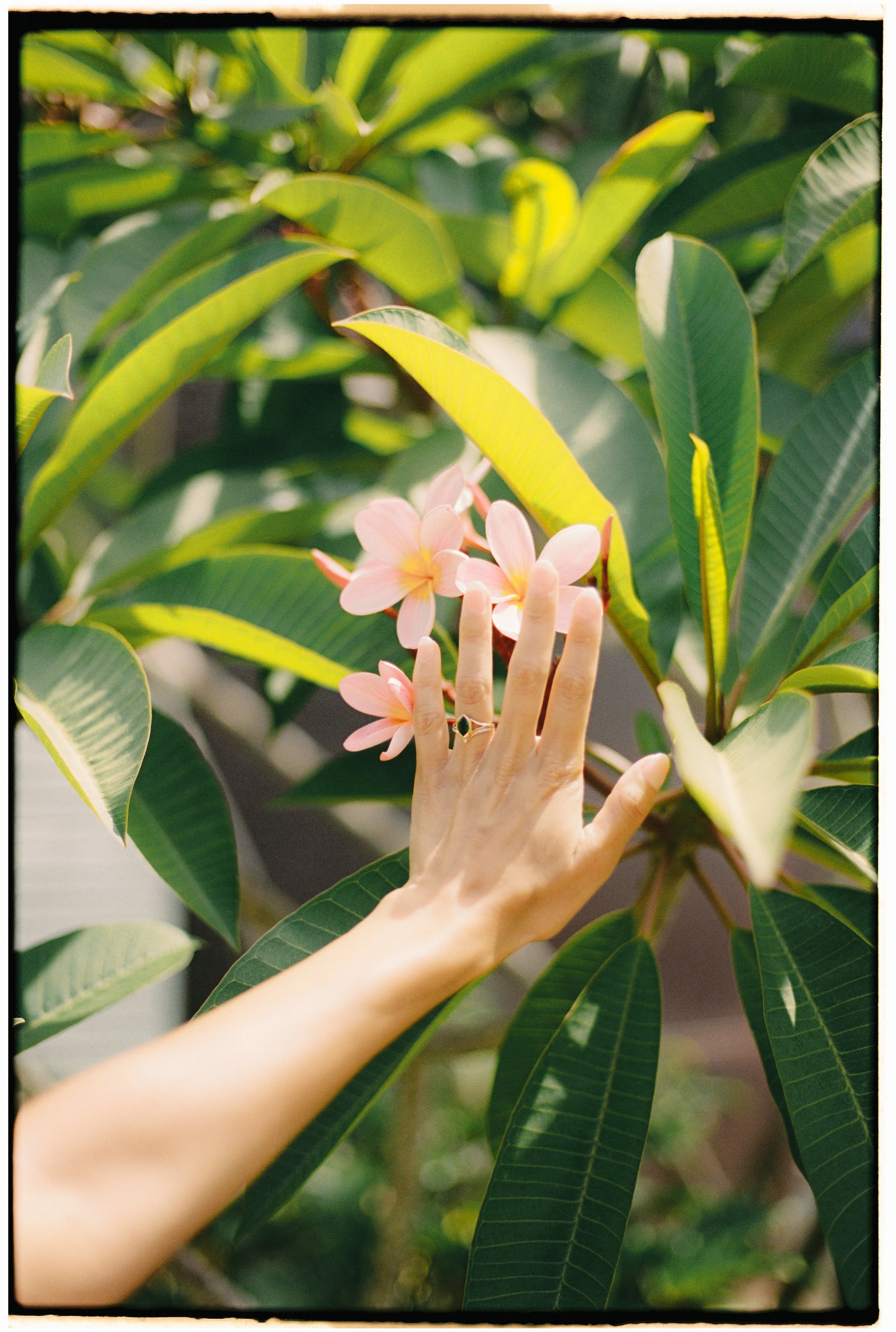 SOPHIAETHAN - PALM BEACH-070.jpg