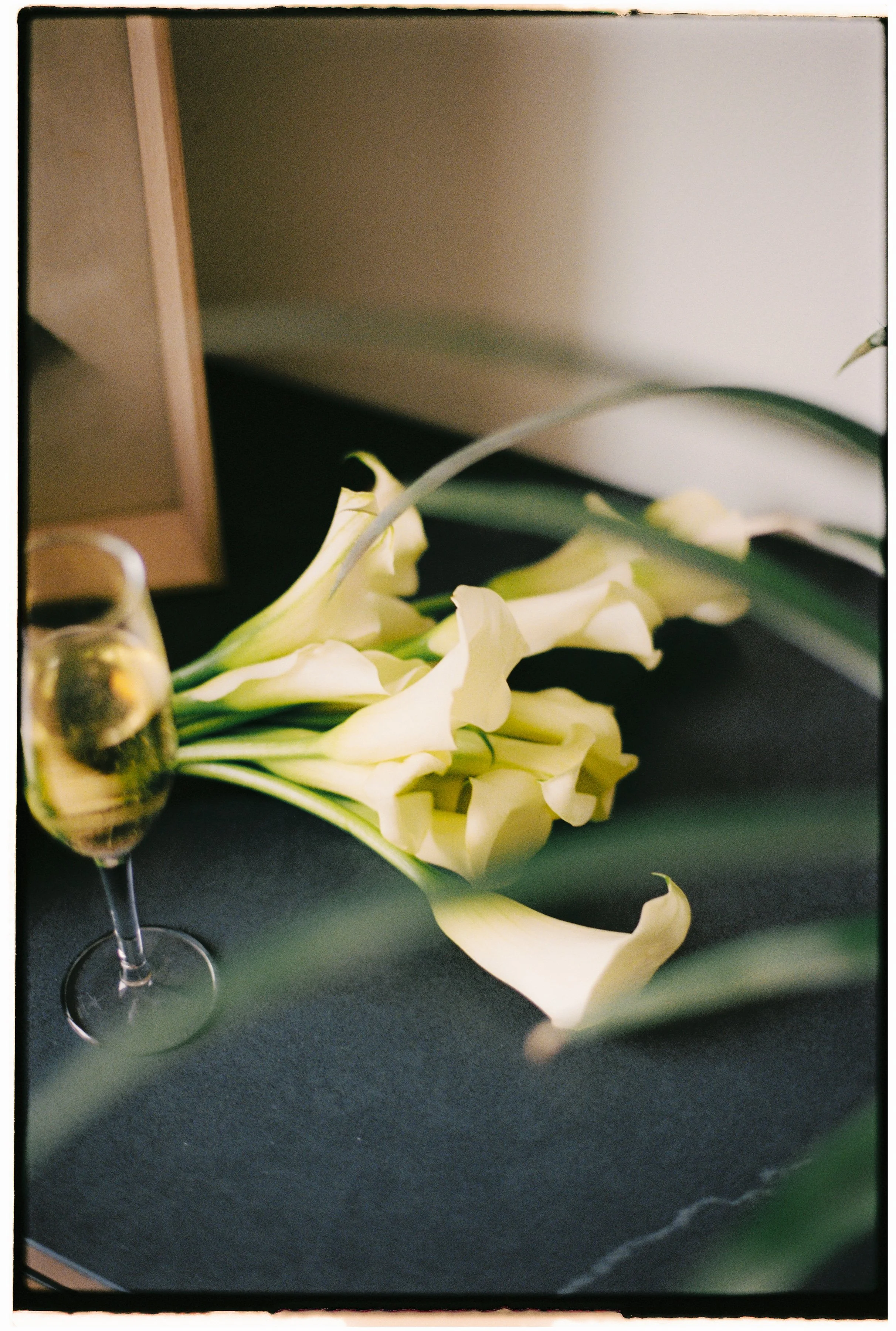 SOPHIAETHAN - RECEPTION NIGHT-045.jpg