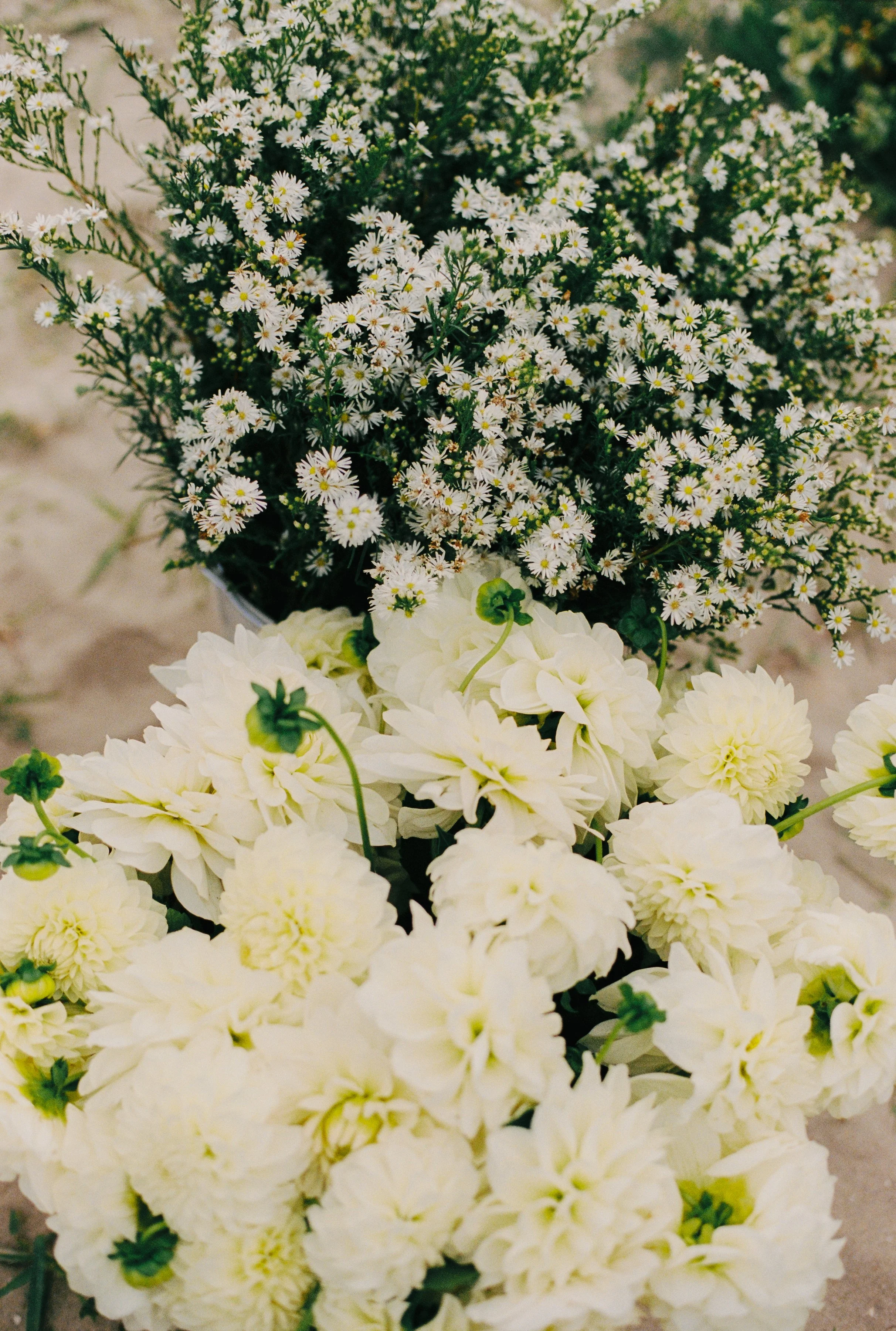 MATTCHAR - CEREMONY-005.jpg
