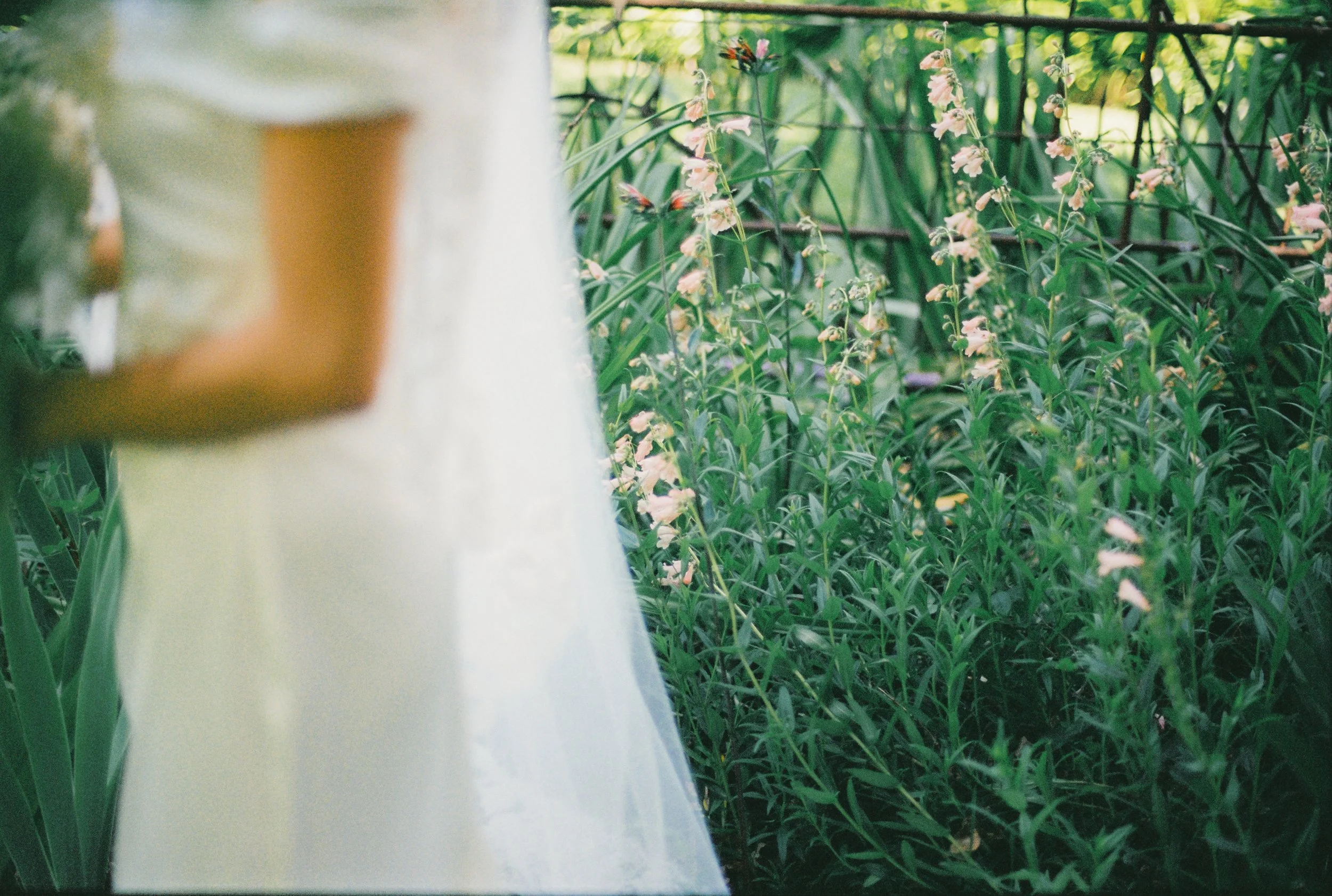 ZOEJEREMY2025 - PORTRAITS-050.jpg