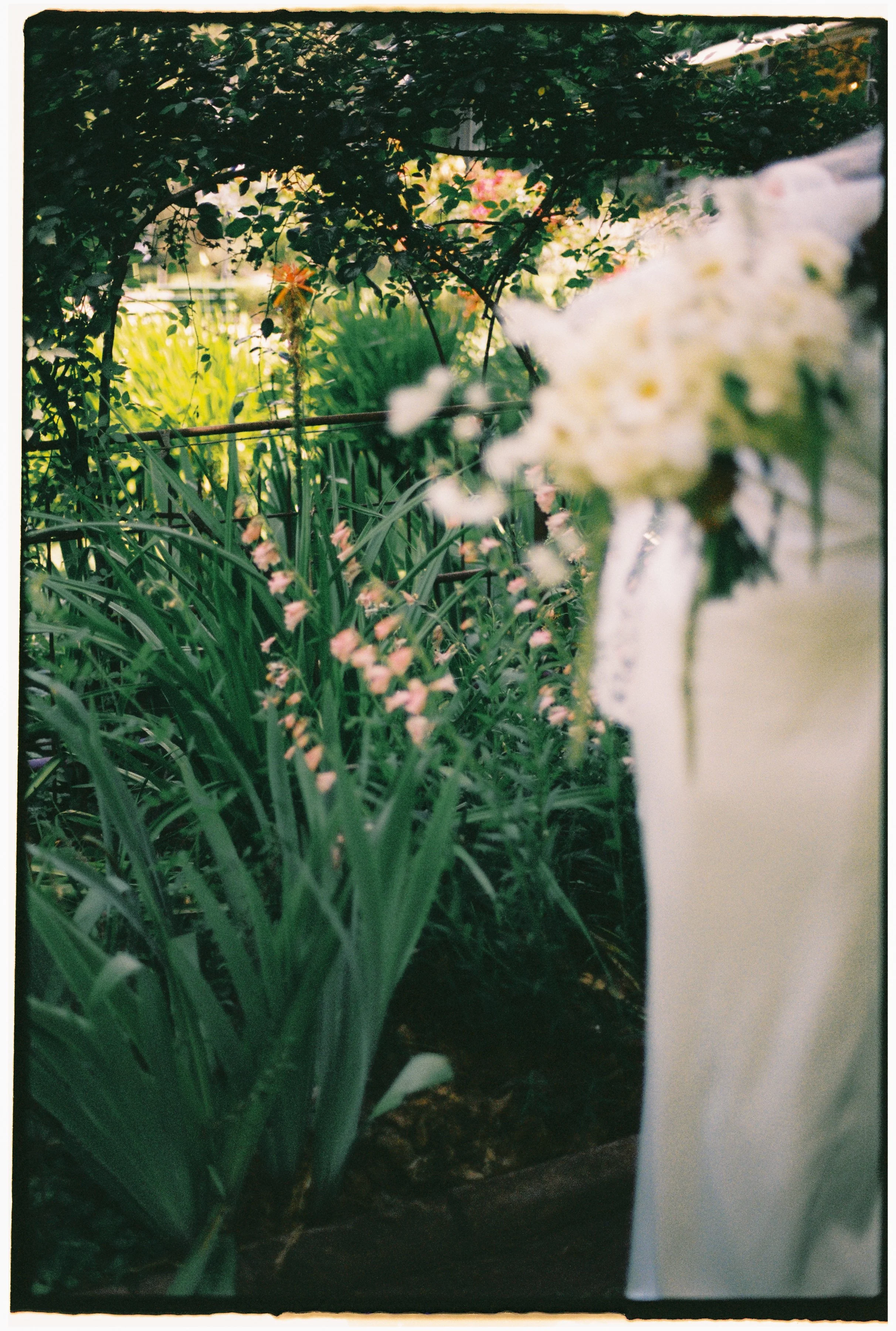 ZOEJEREMY2025 - PORTRAITS-057.jpg