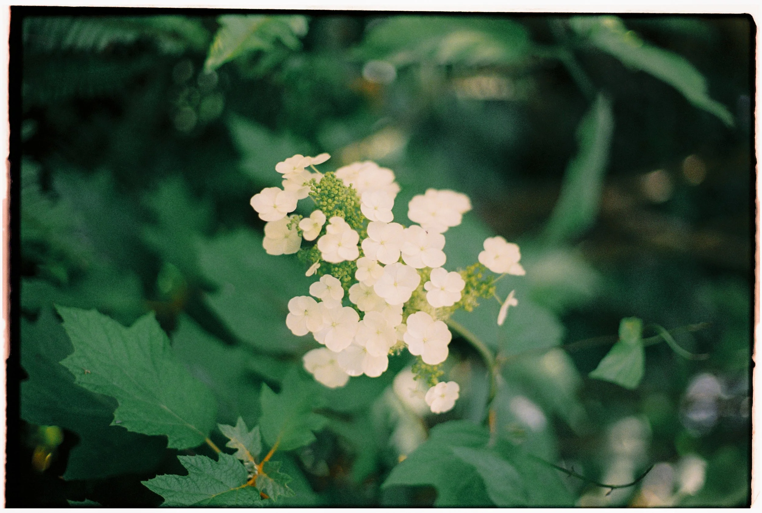 ZOEJEREMY2025 - CEREMONY-060.jpg