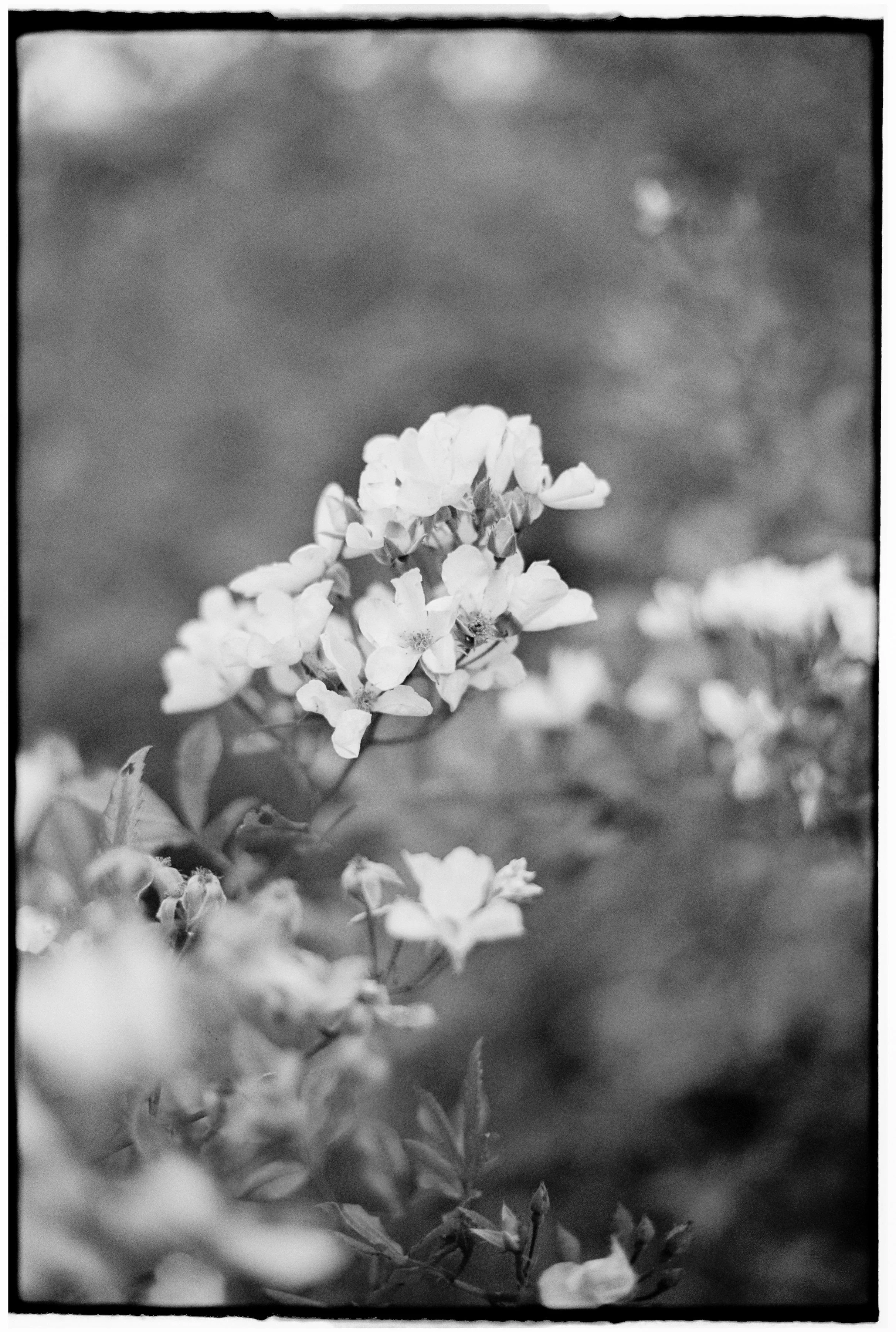 EMMAMATT - PORTRAITS-223.jpg