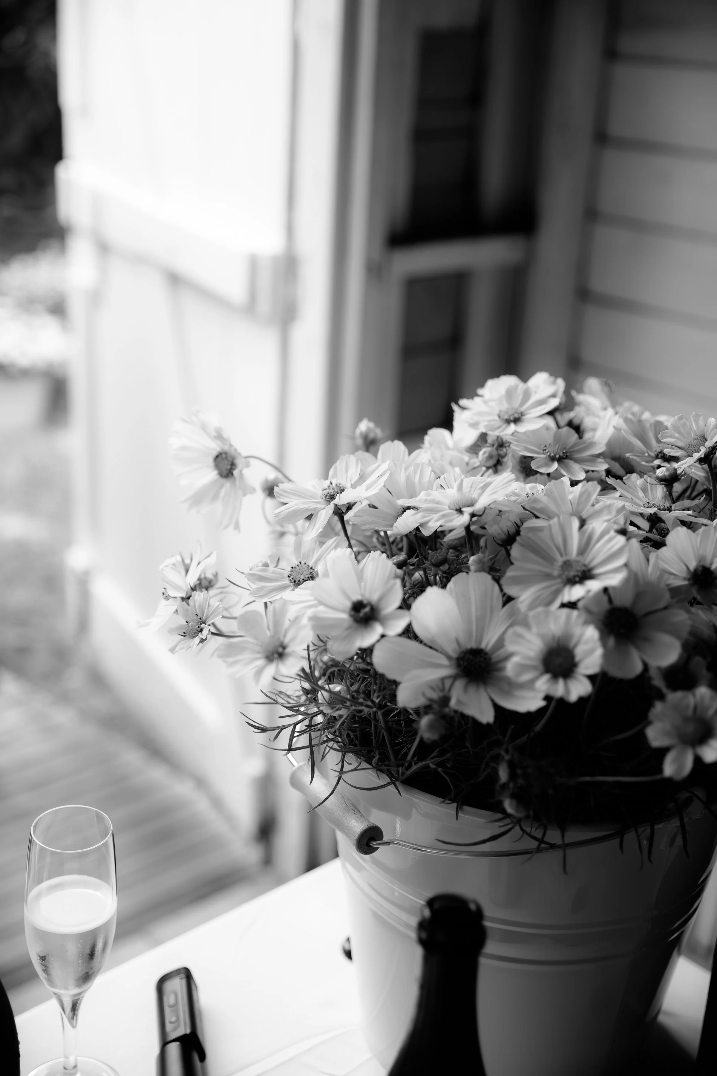 MATTCHAR - CHEERS-045.jpg
