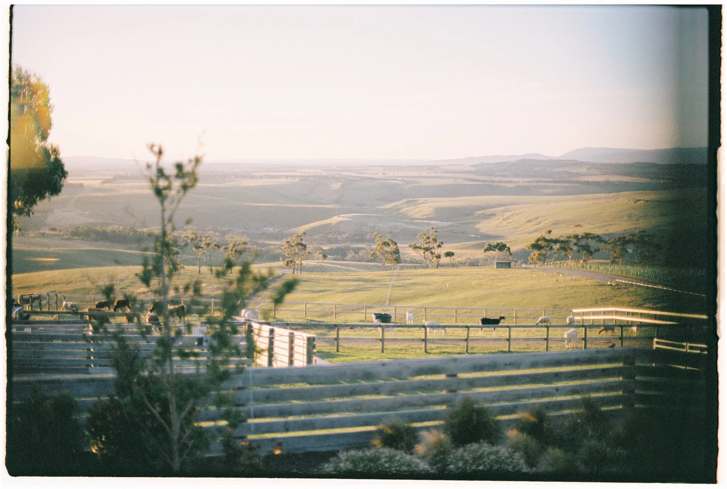 ZOEJEREMY2025 - SUNSET-007.jpg