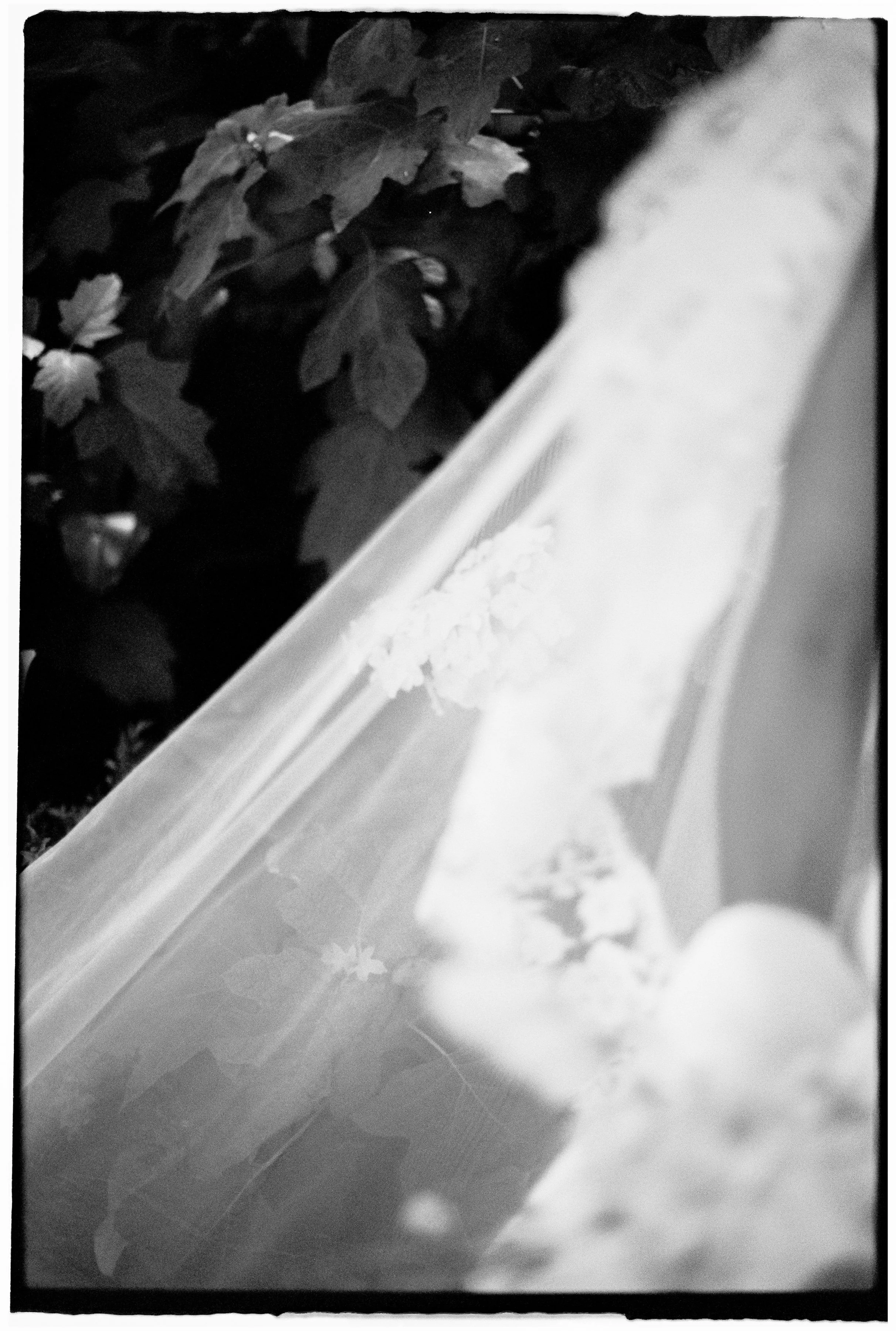 ZOEJEREMY2025 - PORTRAITS-055.jpg