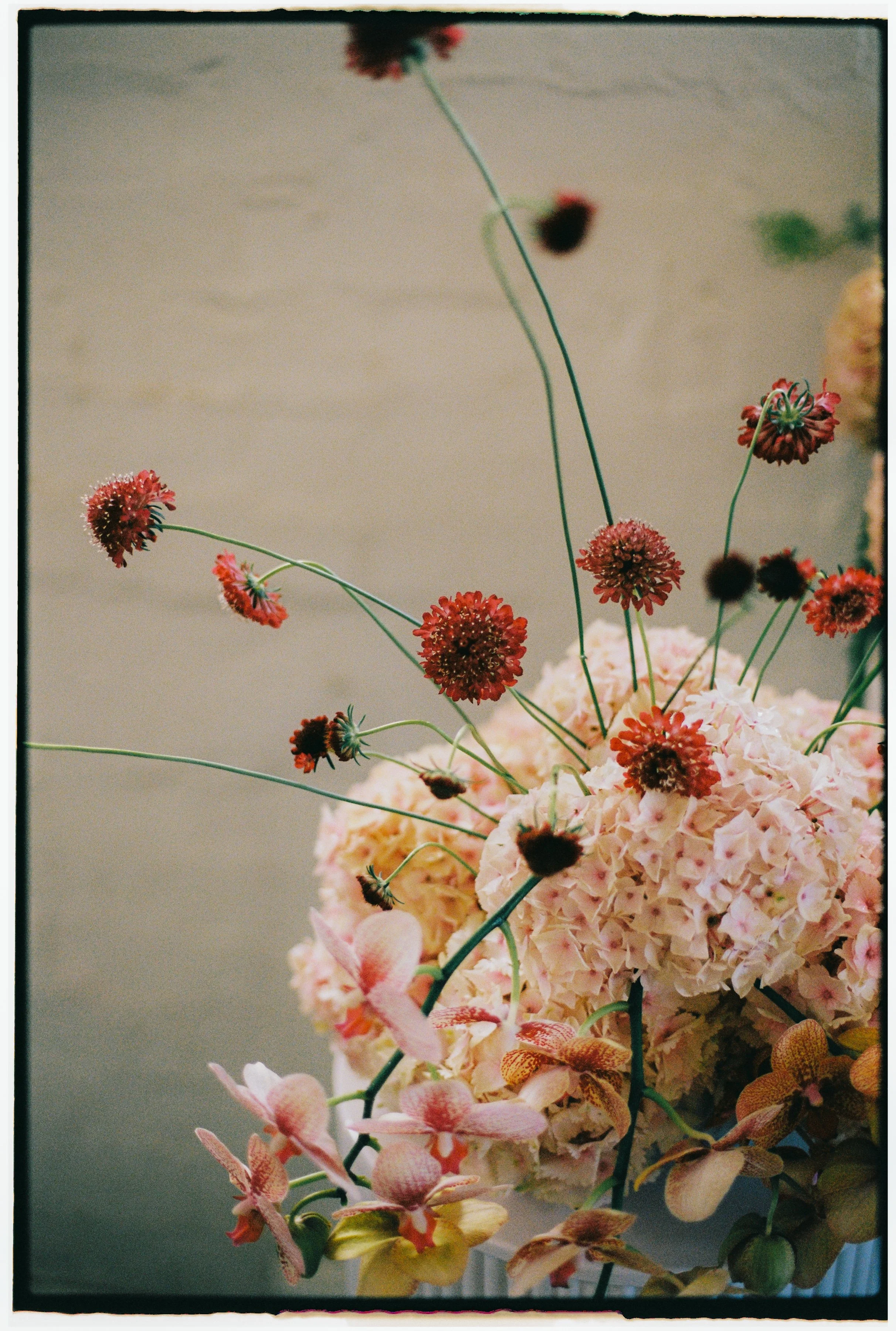 EMMAMATT - CEREMONY-005.jpg