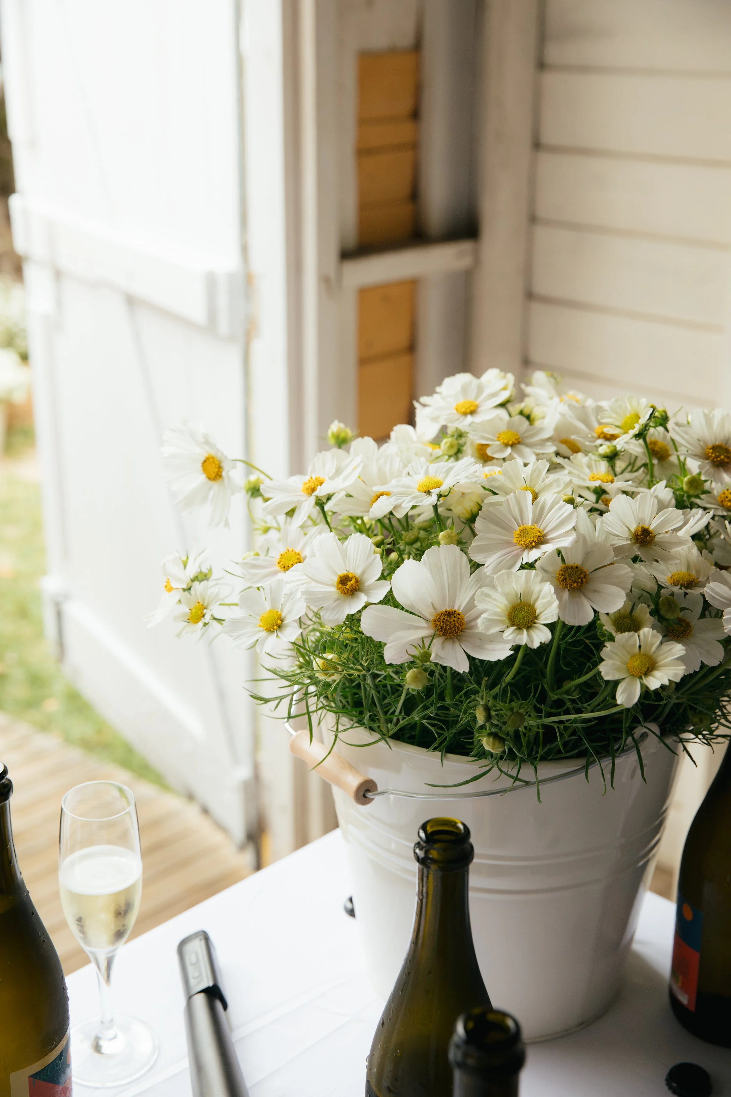 MATTCHAR - CHEERS-044.jpg