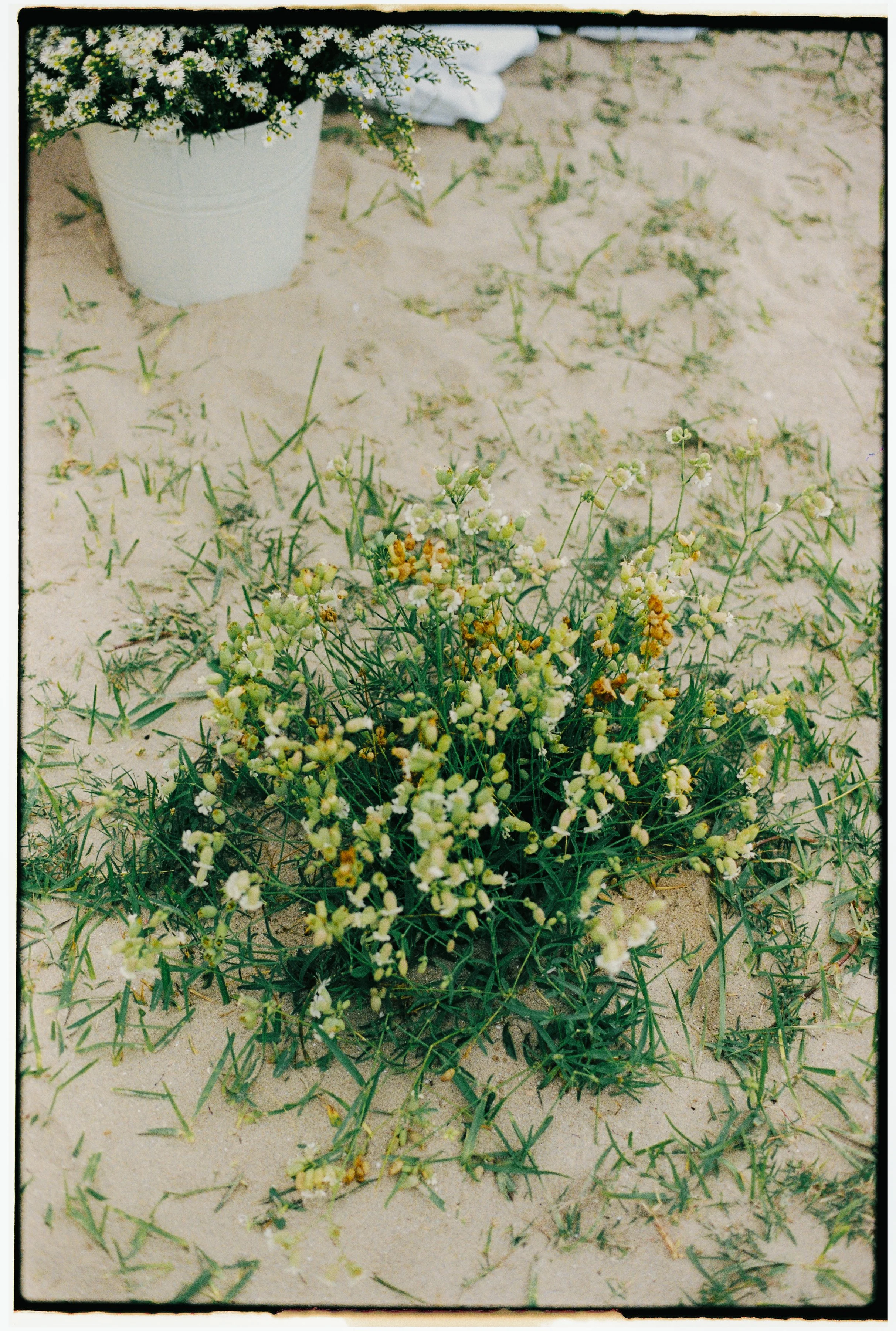 MATTCHAR - CEREMONY-009.jpg