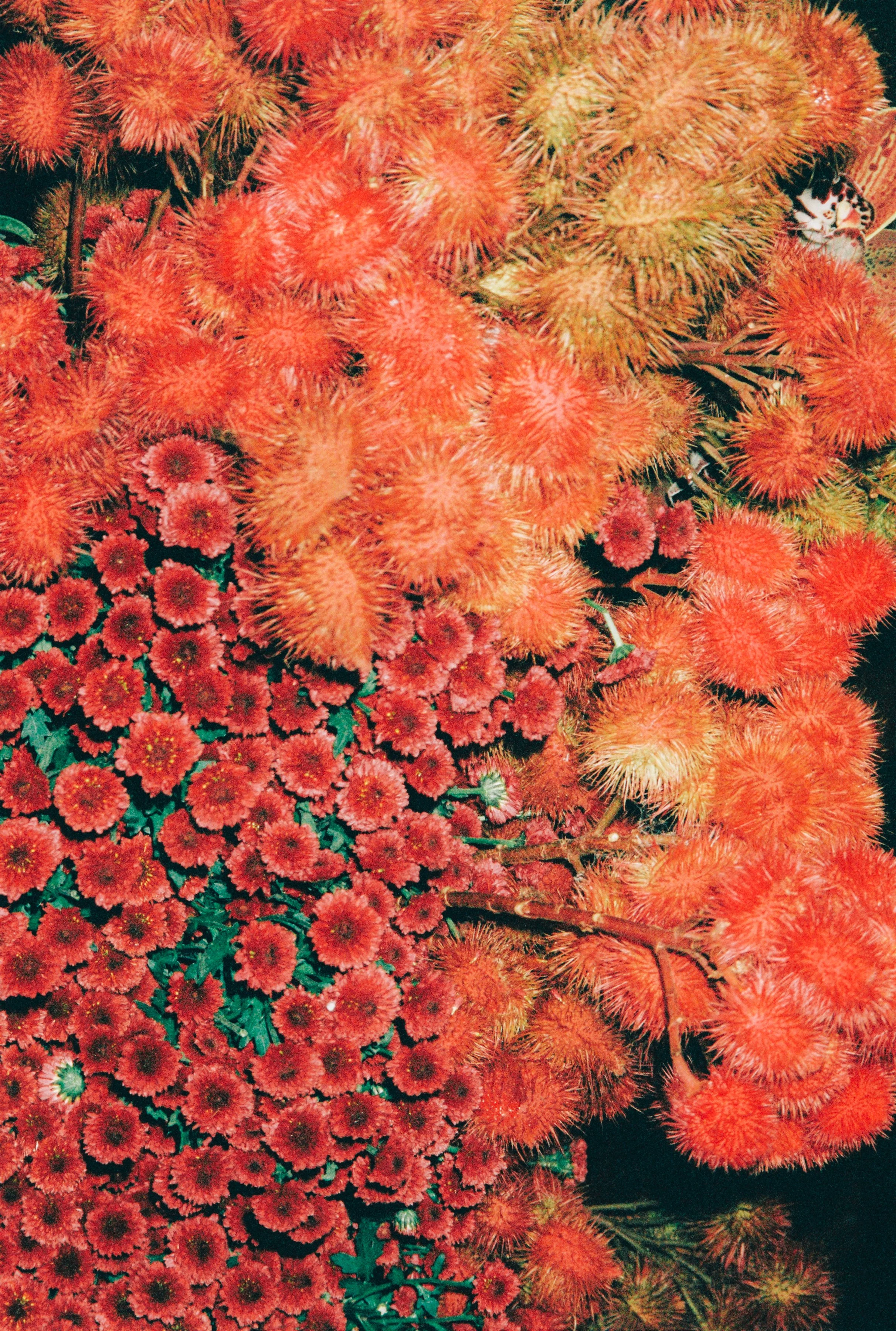 CEREMONY - BELLA + TRIS-040.jpg