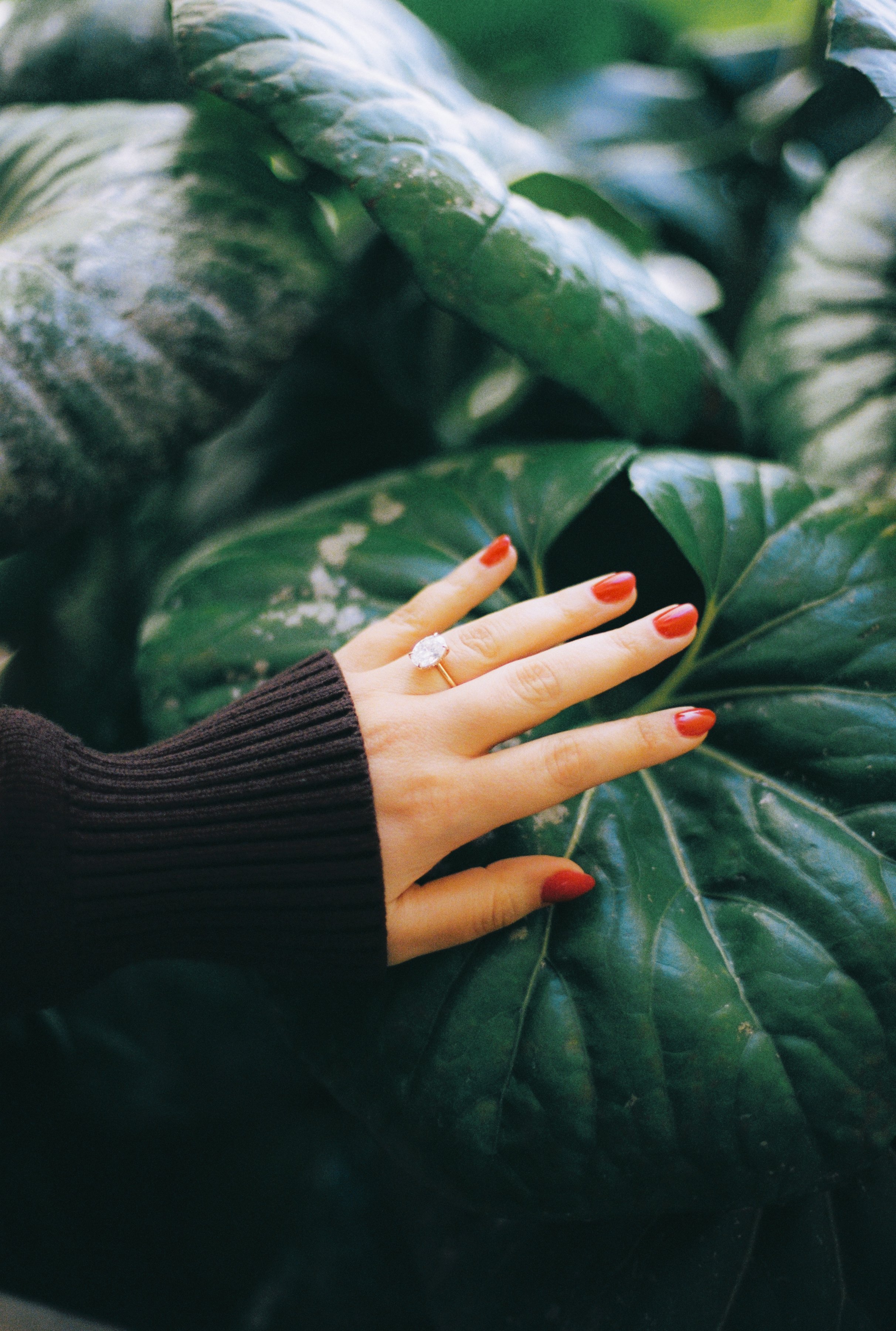 NIK + DEMI - ENGAGED-023.jpg