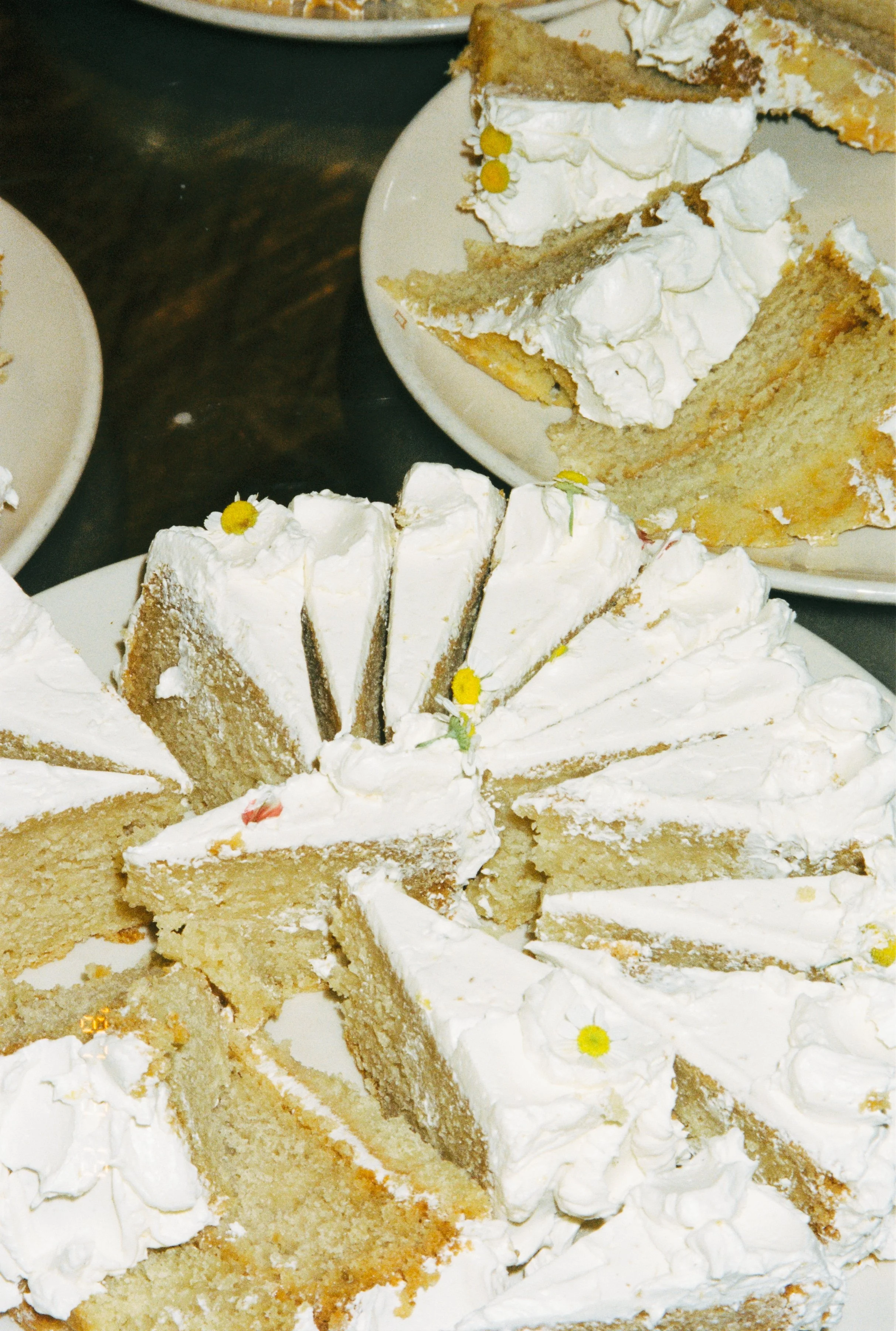 ASH + BRENT 2025 - RECEPTION-142.jpg