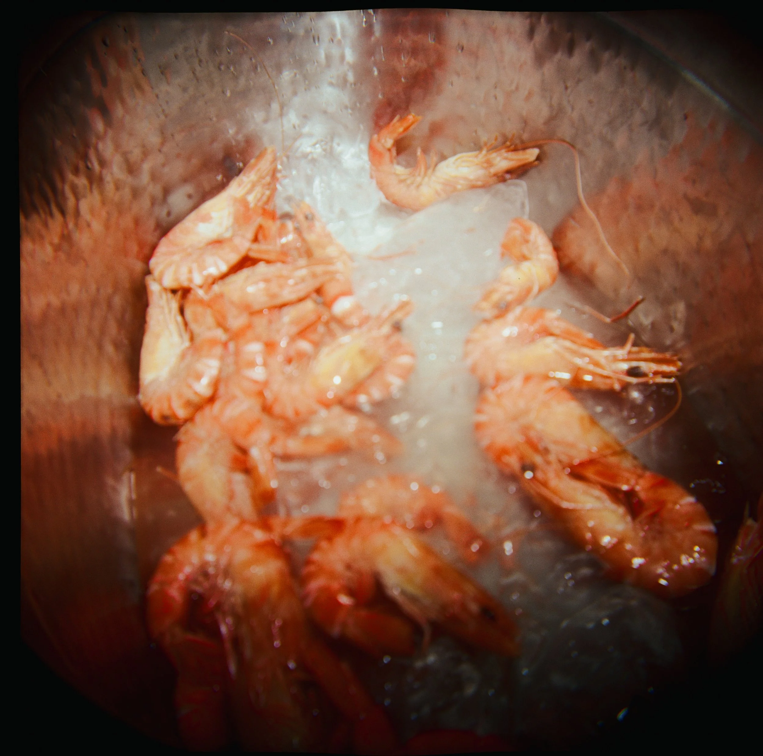 SOPHIAETHAN - RECEPTION NIGHT-075.jpg