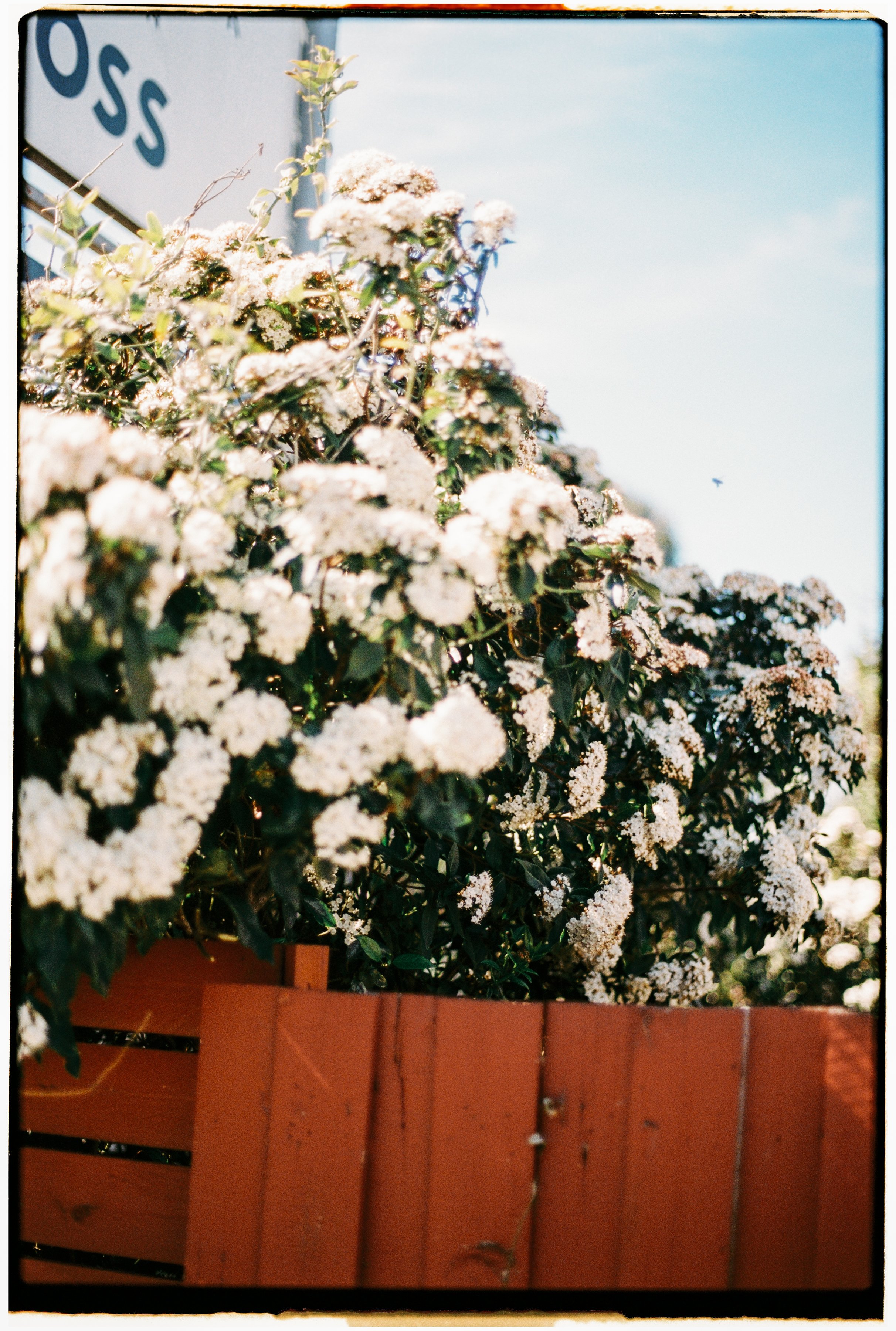 M + L - ENGAGED 2025-056.jpg