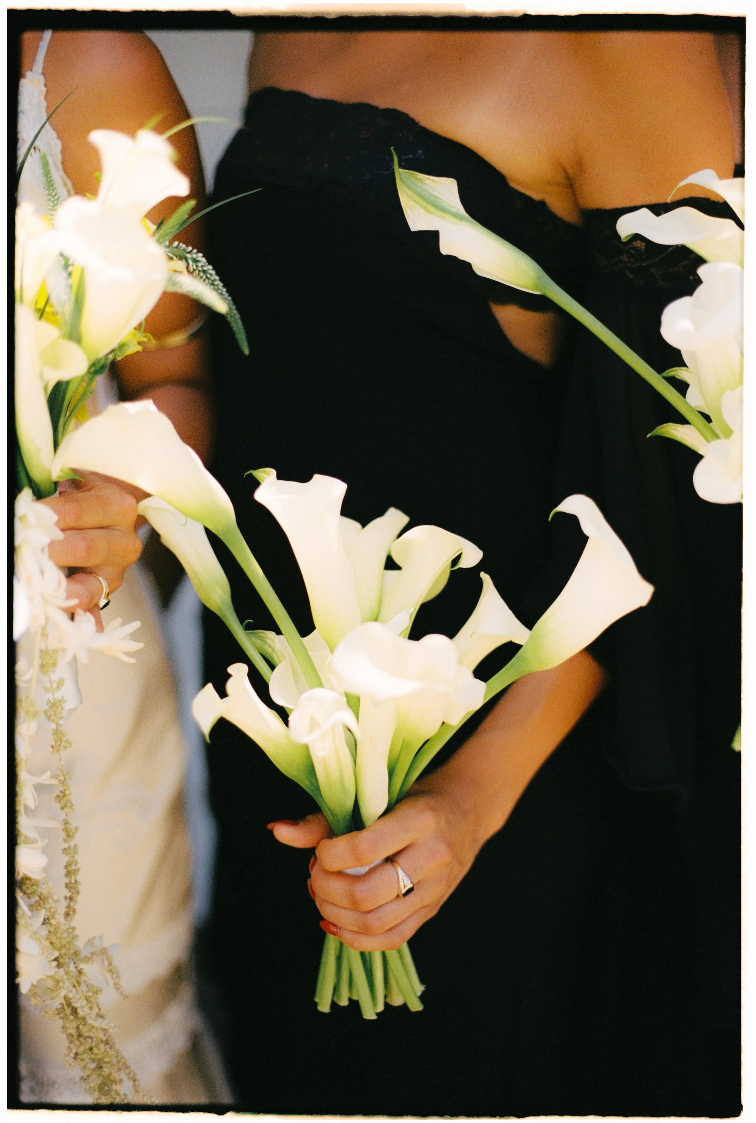 SOPHIAETHAN - PALM BEACH-020.jpg