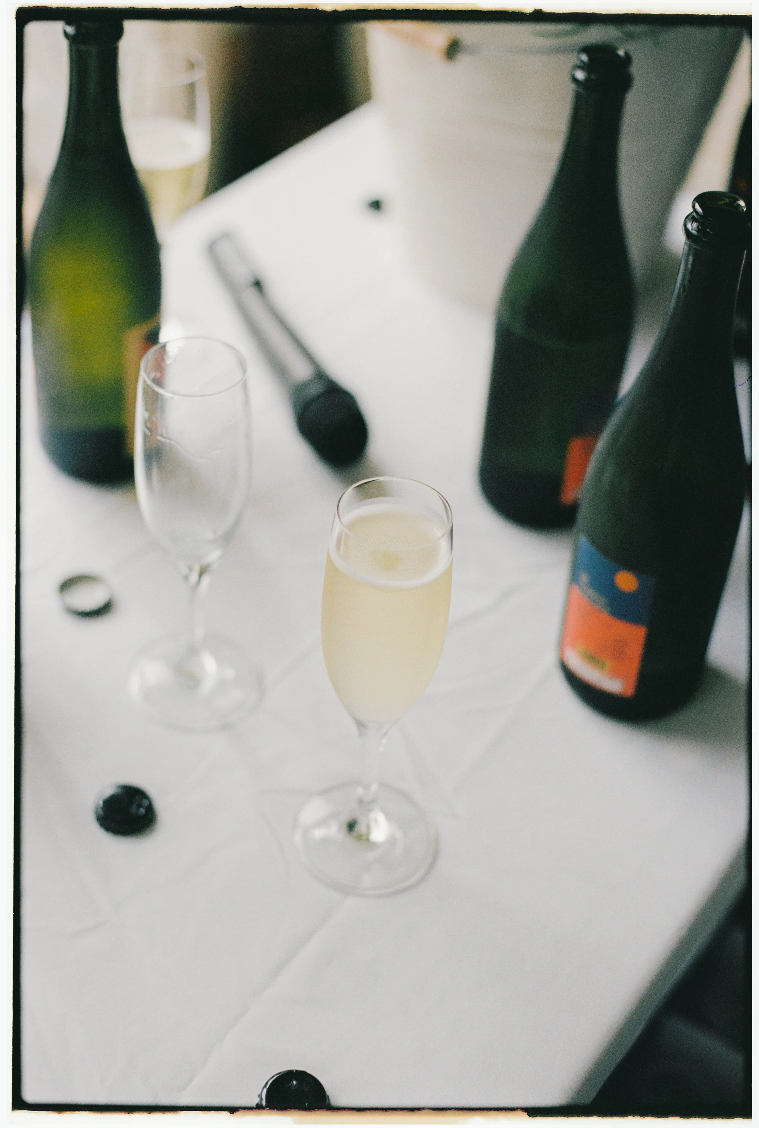 MATTCHAR - CHEERS-057.jpg