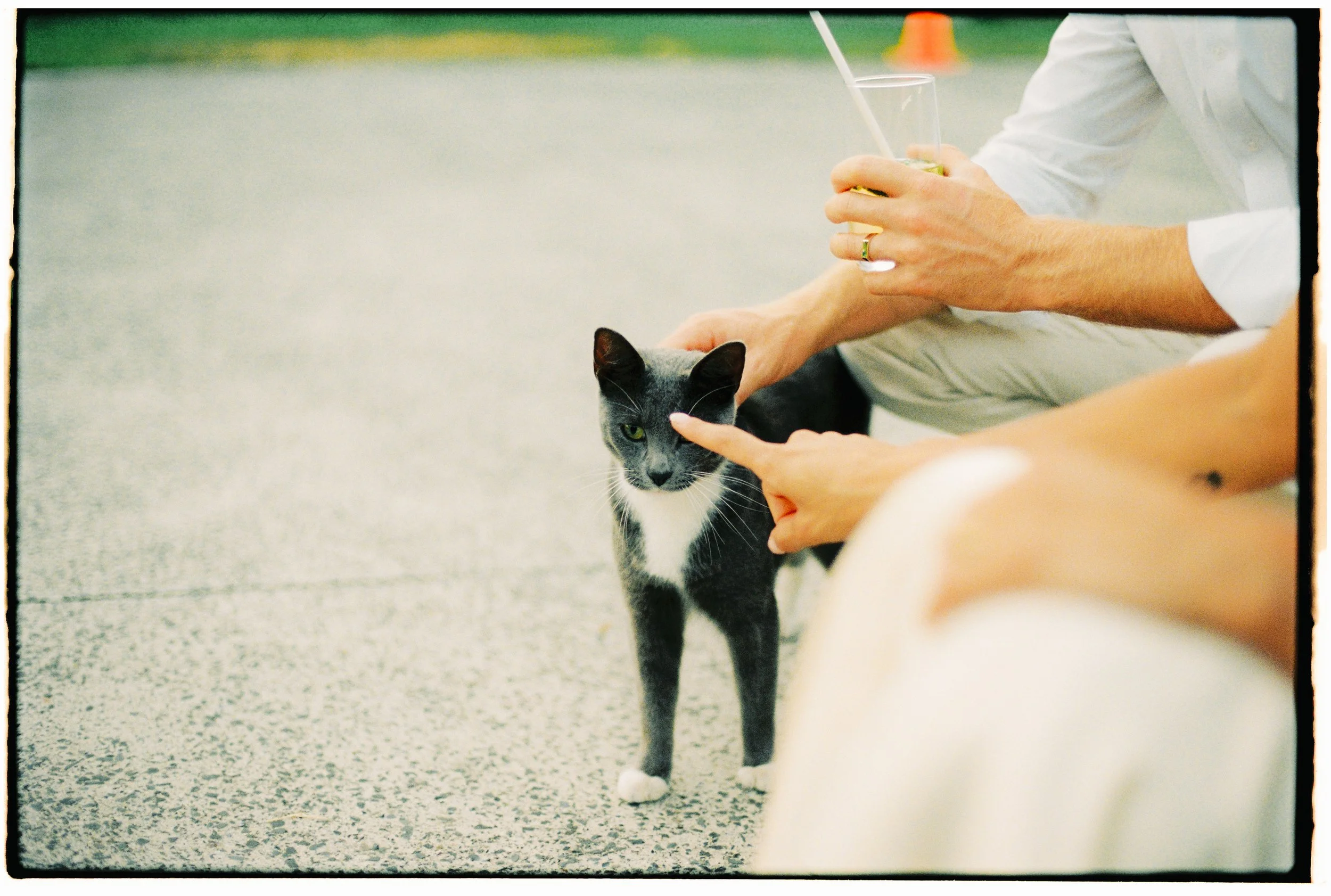 SOPHIAETHAN - RECEPTION NIGHT-220.jpg