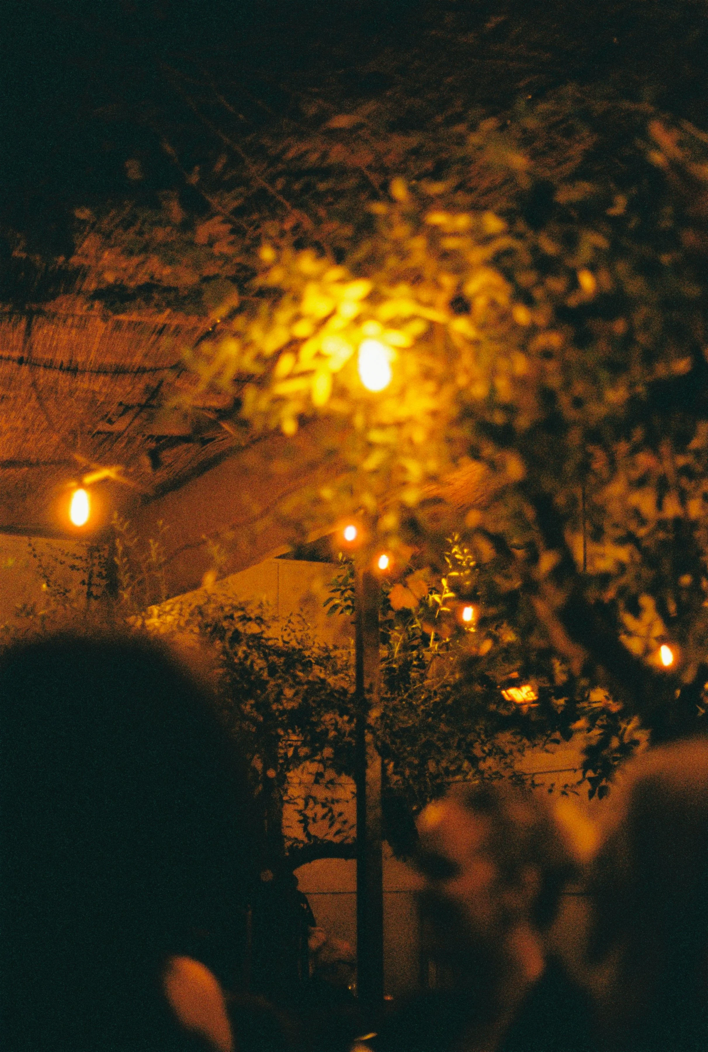 ASH + BRENT 2025 - RECEPTION-167.jpg