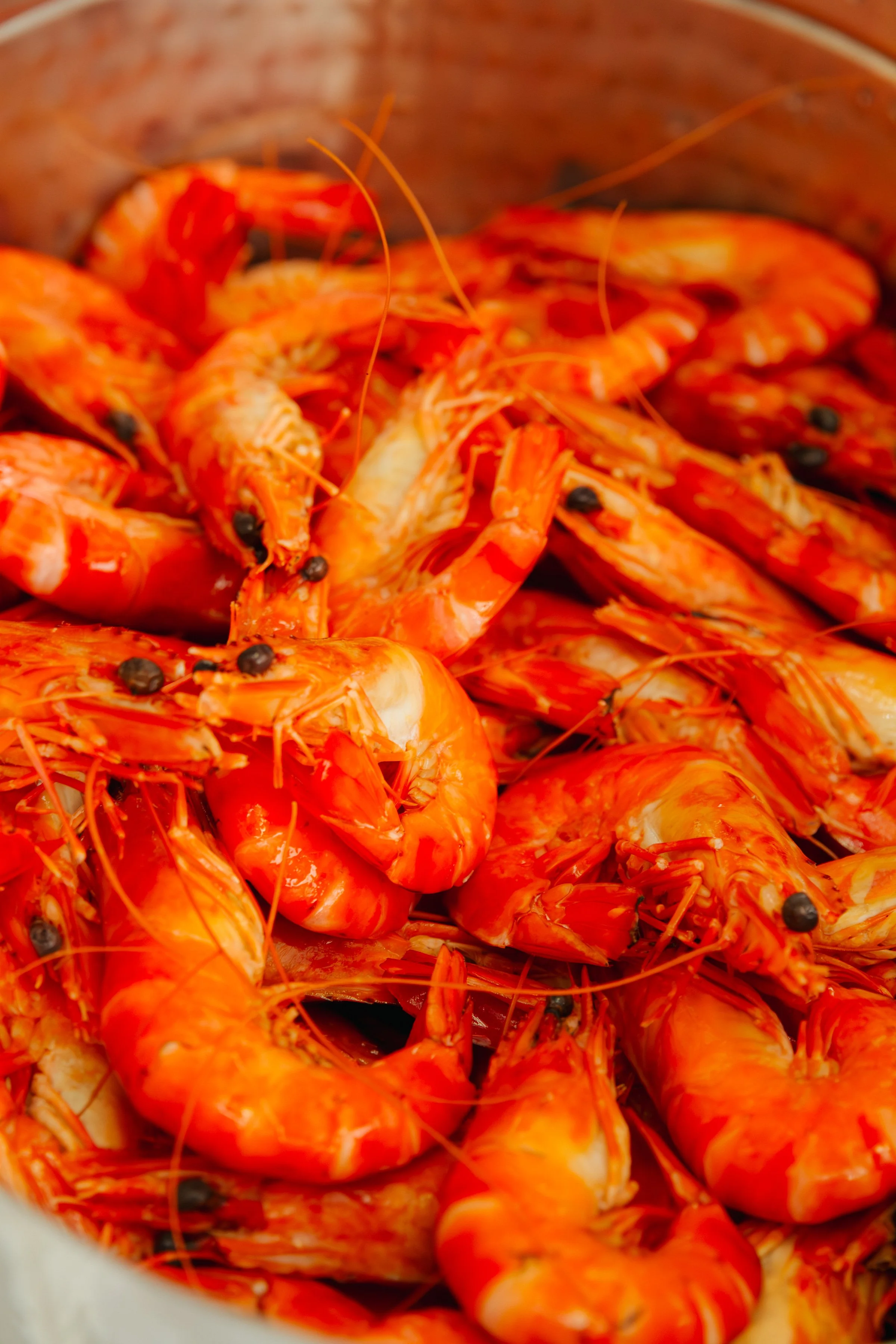 SOPHIAETHAN - RECEPTION NIGHT-079.jpg