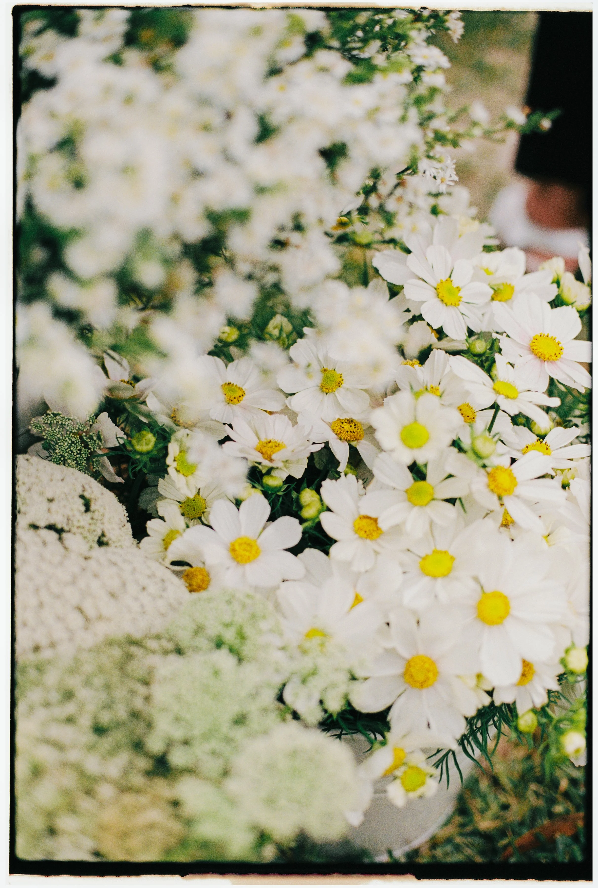 MATTCHAR - CEREMONY-014.jpg