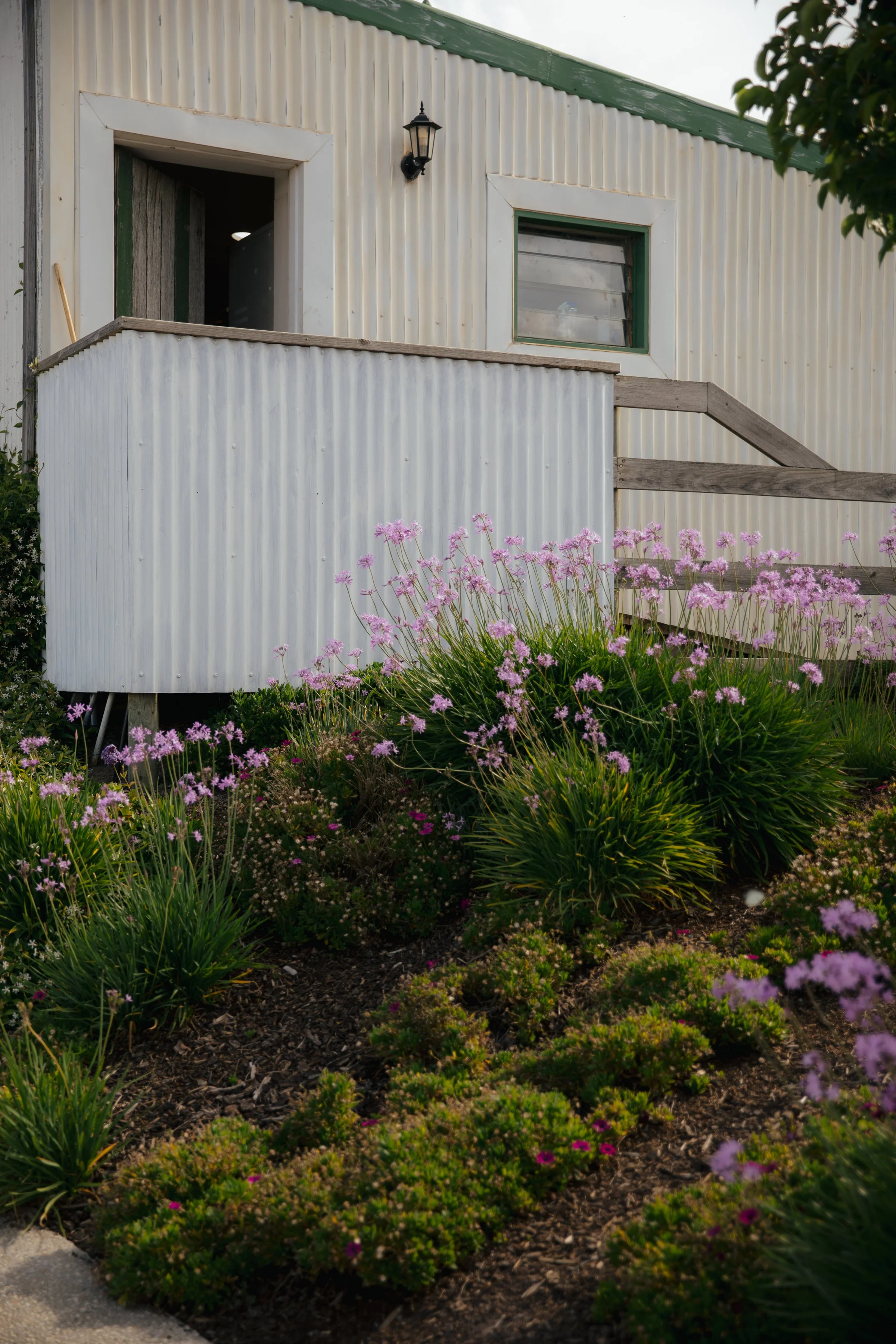 ZOEJEREMY2025 - PORTRAITS-165.jpg