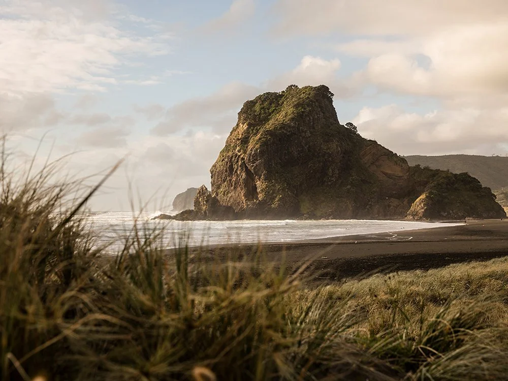 ARC Design Guidelines for Piha