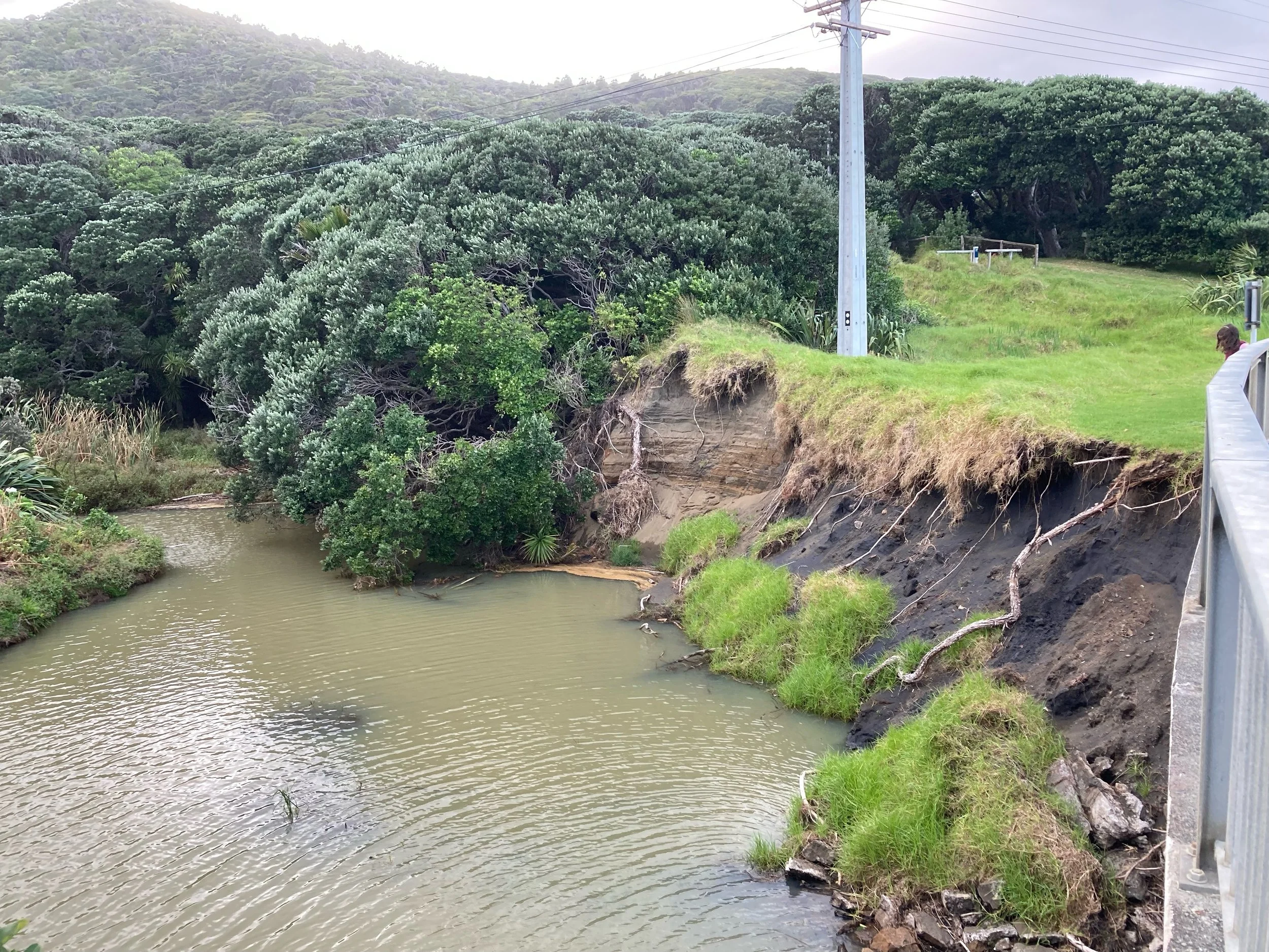 Auckland Recovery Office - Update 21 Dec.