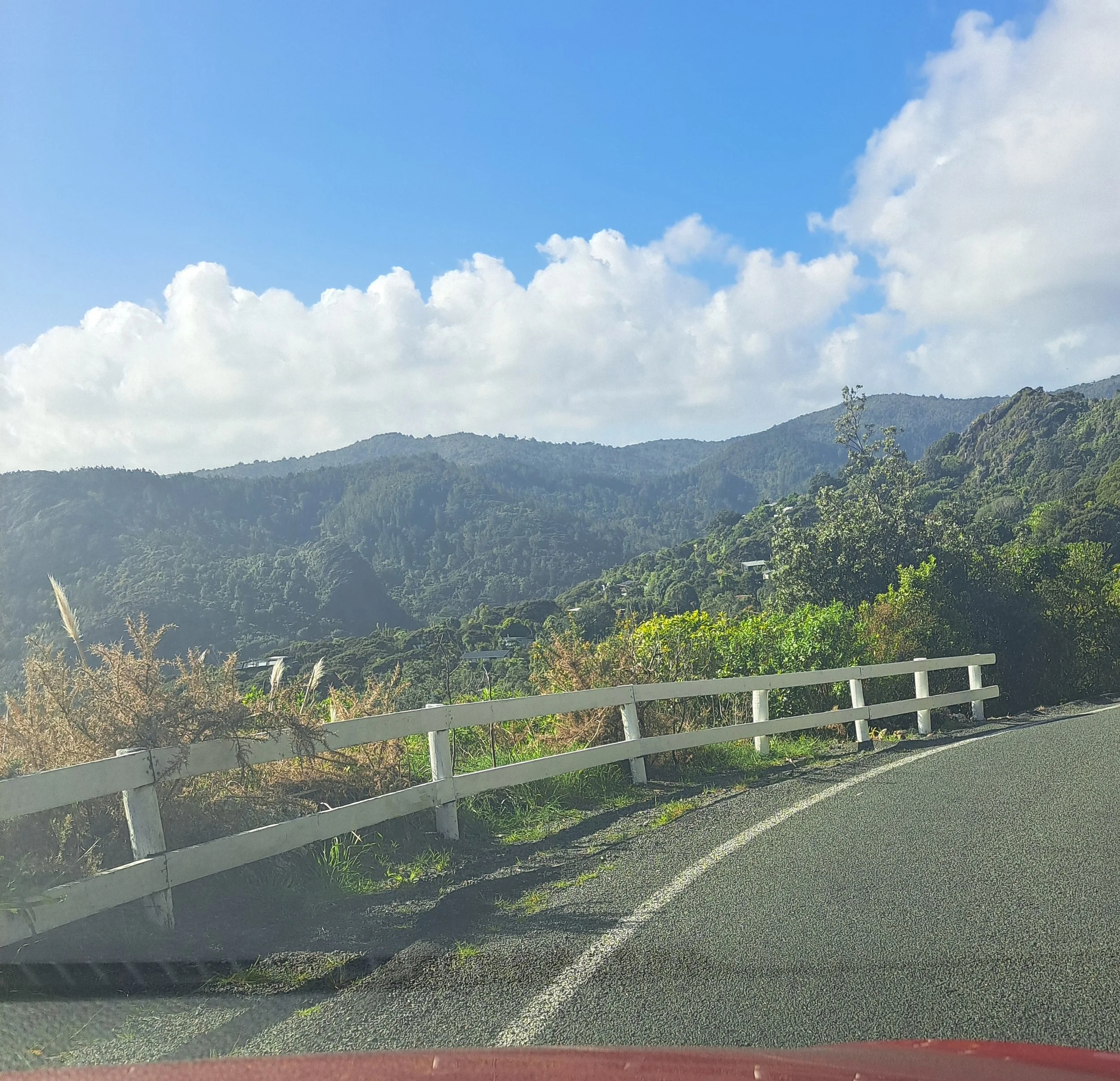 Piha R&amp;R News Update - 25 August