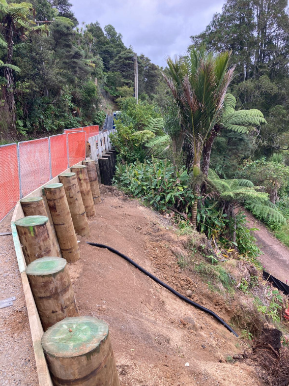 Update on Forest Hill Road from Auckland Transport