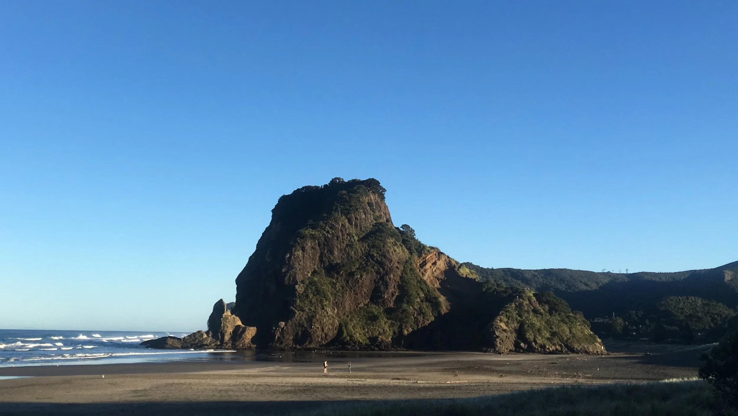 Piha R&amp;R News Update - 28 July