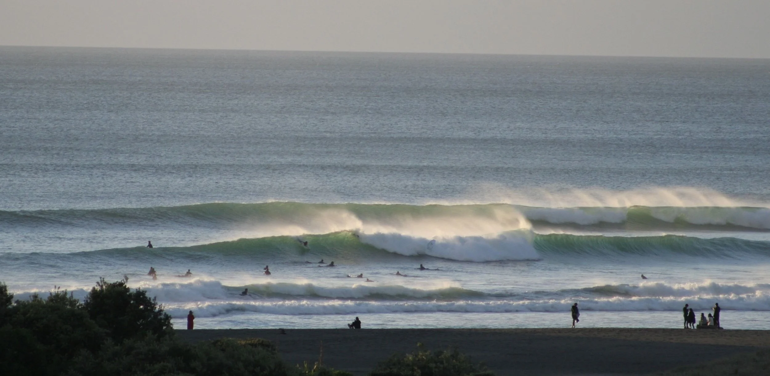 Piha-surf-1.jpeg
