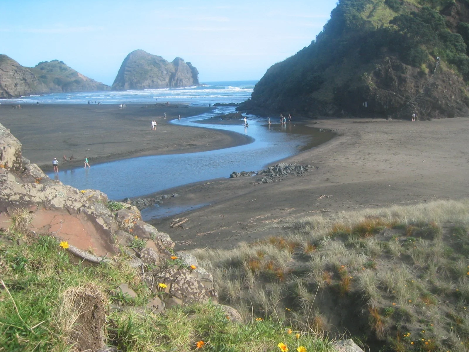 Piha R&amp;R News Update - 4th January