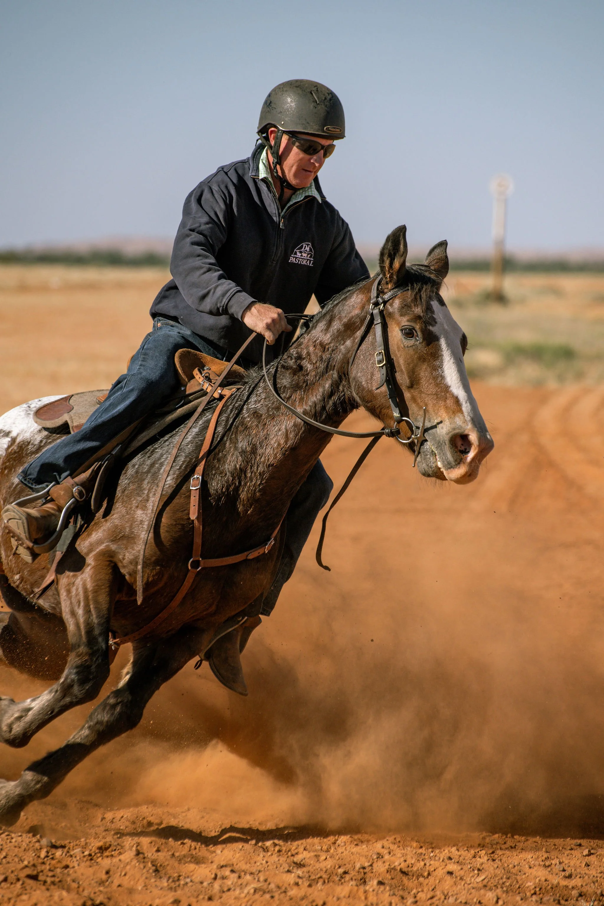 adulthorsessat-65.jpg