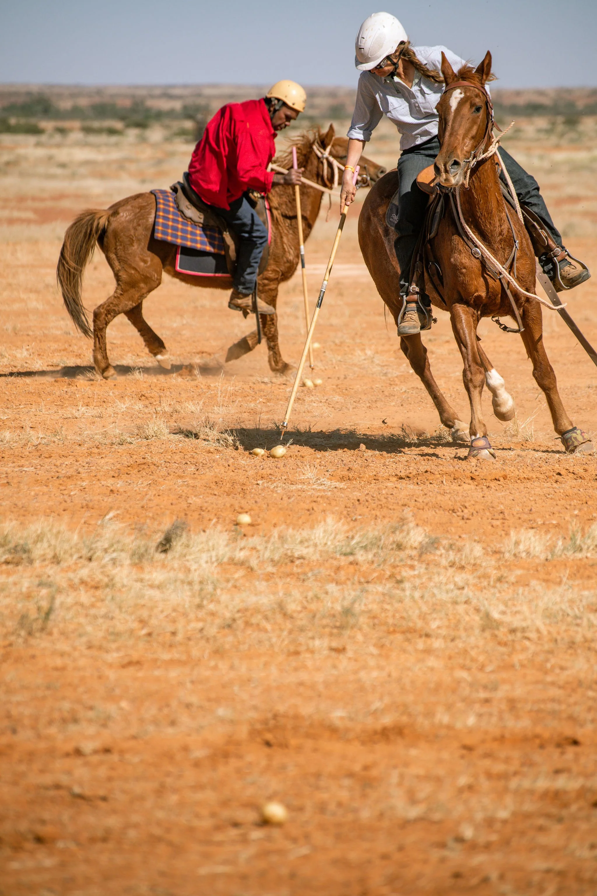 adulthorsessat-161.jpg