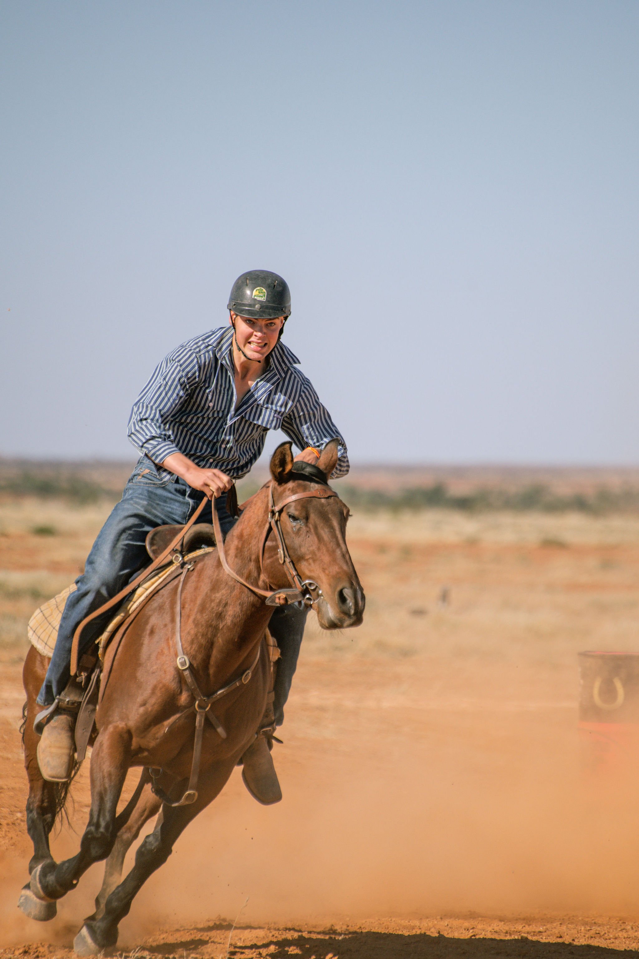 adulthorsessat-76.jpg