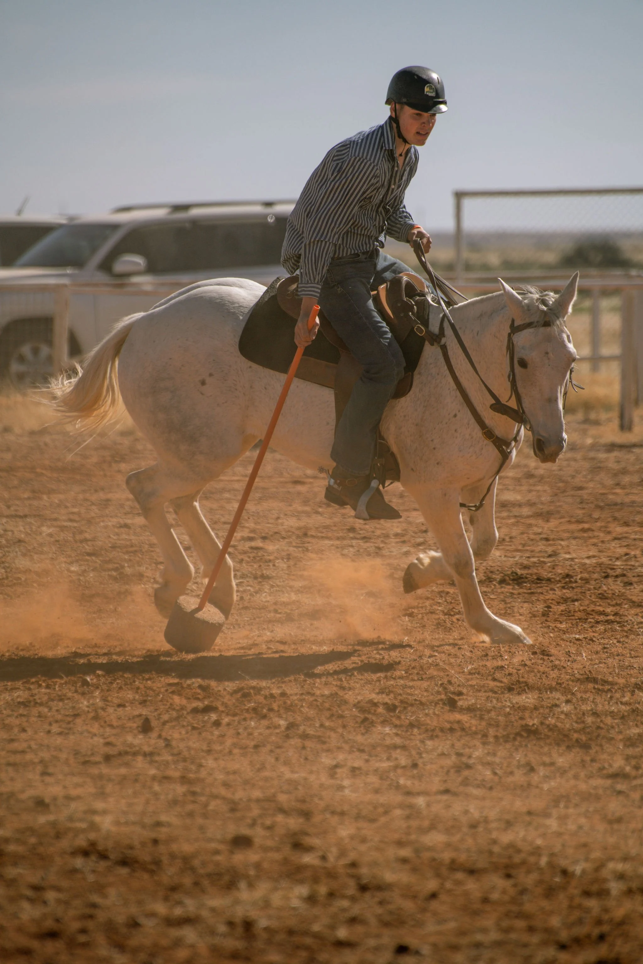 adulthorsessat-96.jpg