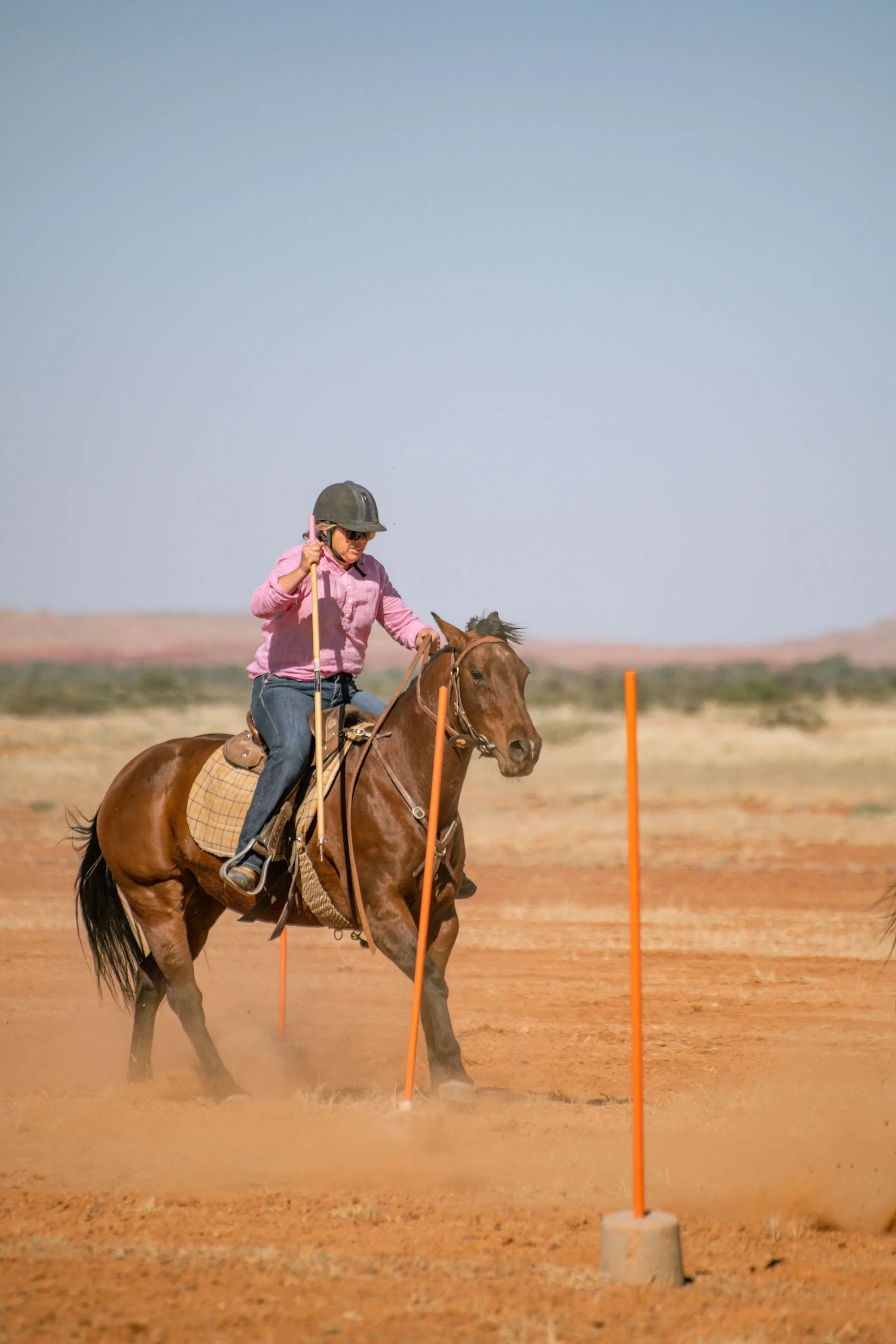 adulthorsessat-180.jpg