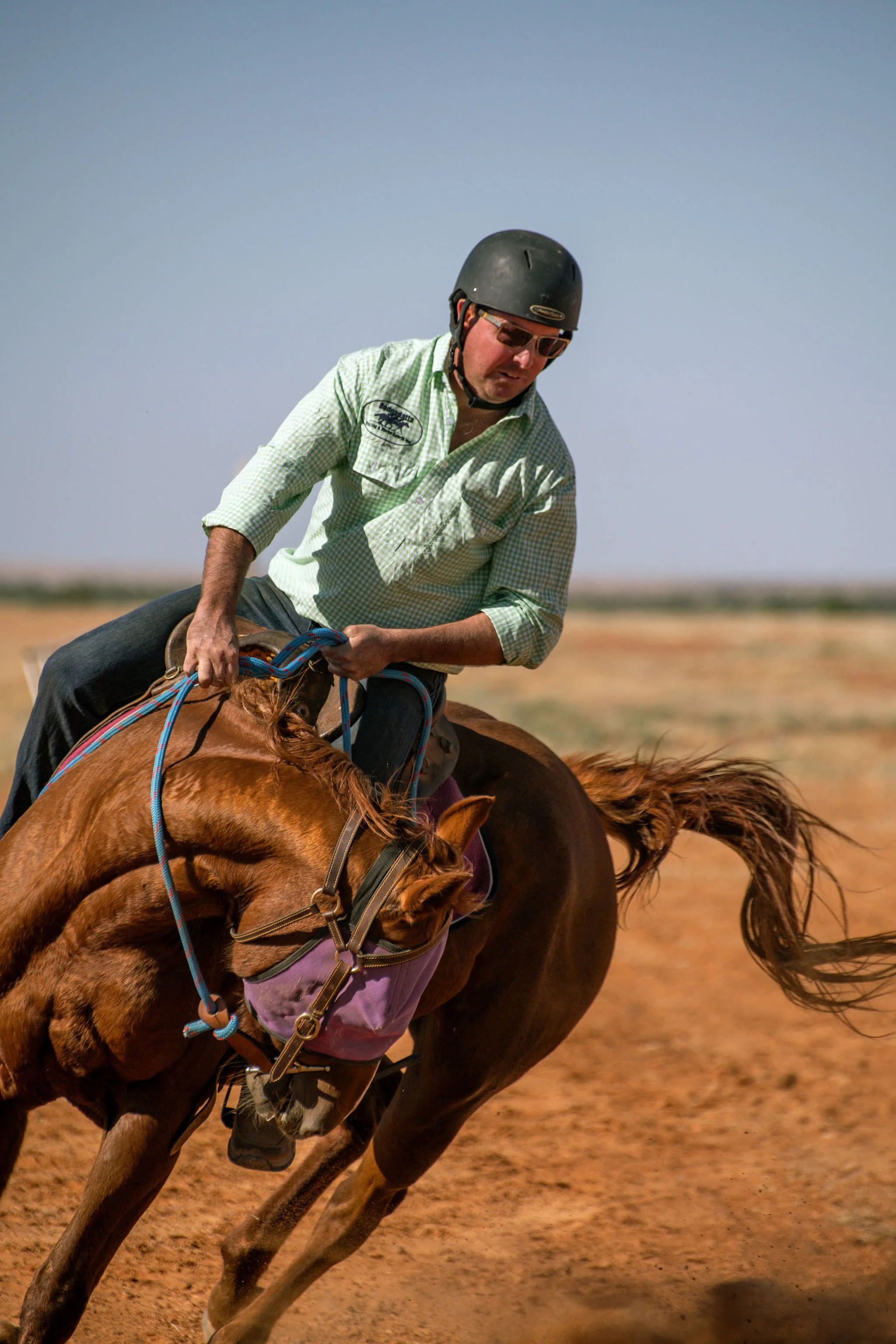 adulthorsessat-50.jpg