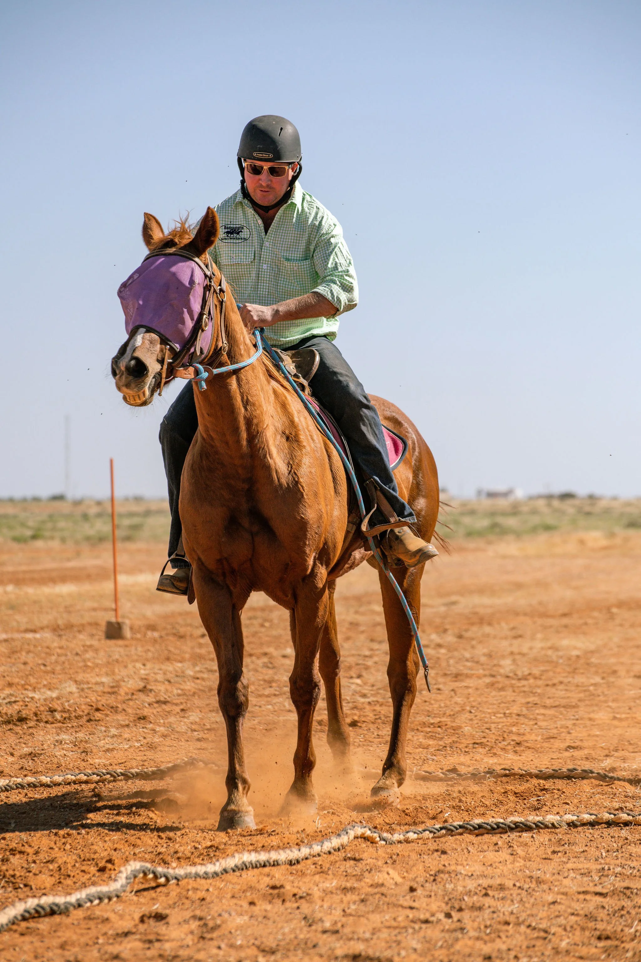 adulthorsessat-197.jpg