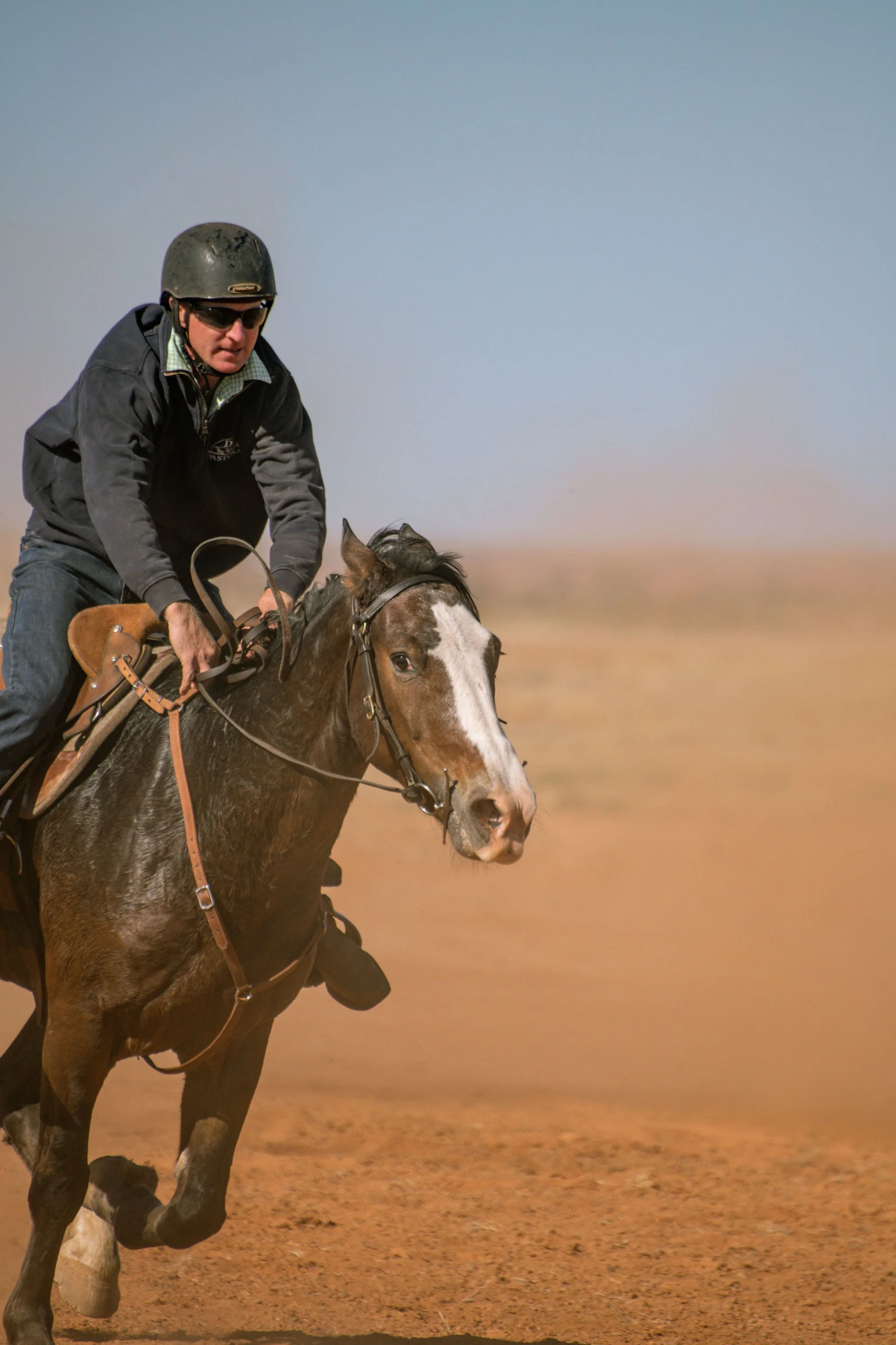 adulthorsessat-67.jpg