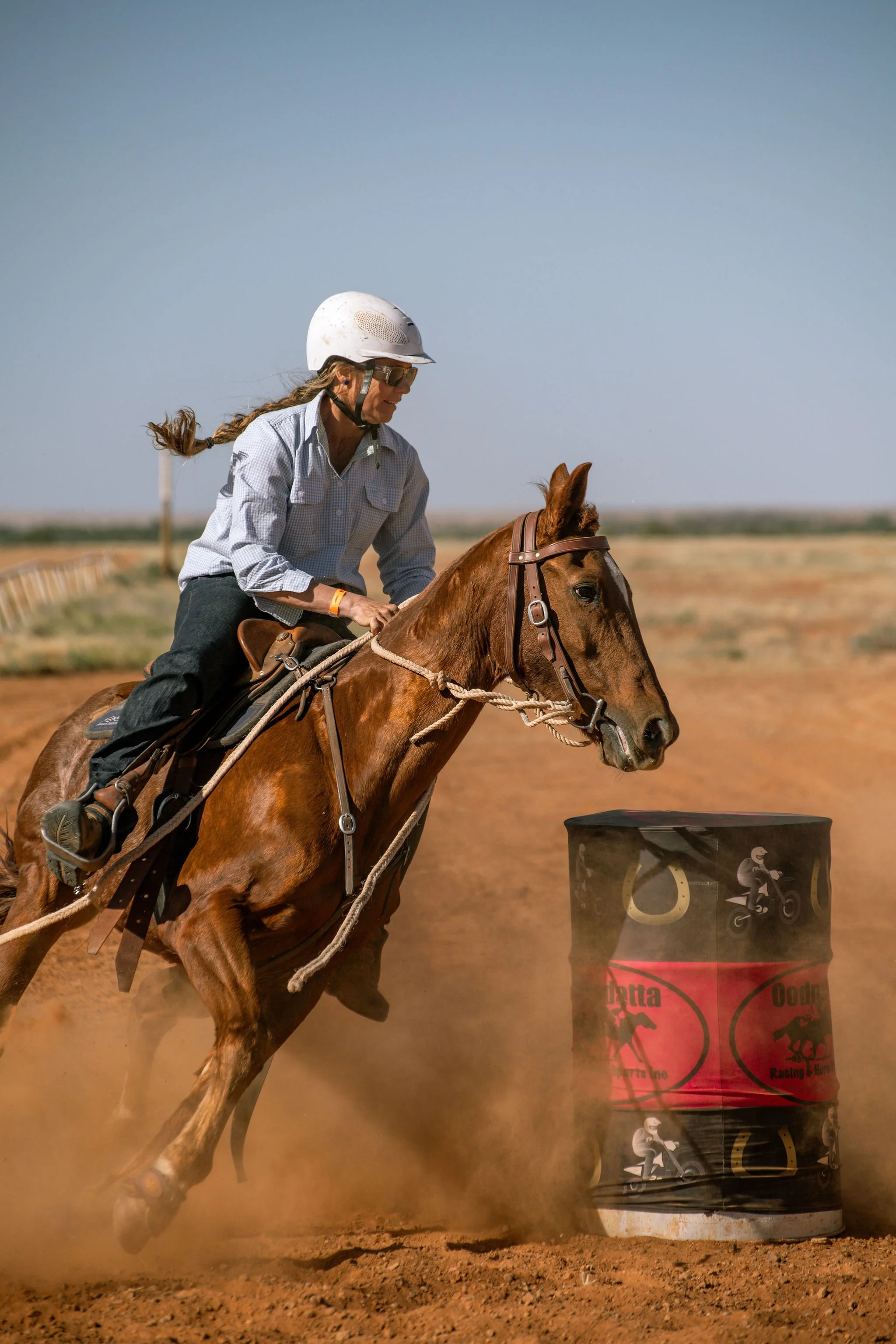 adulthorsessat-80.jpg