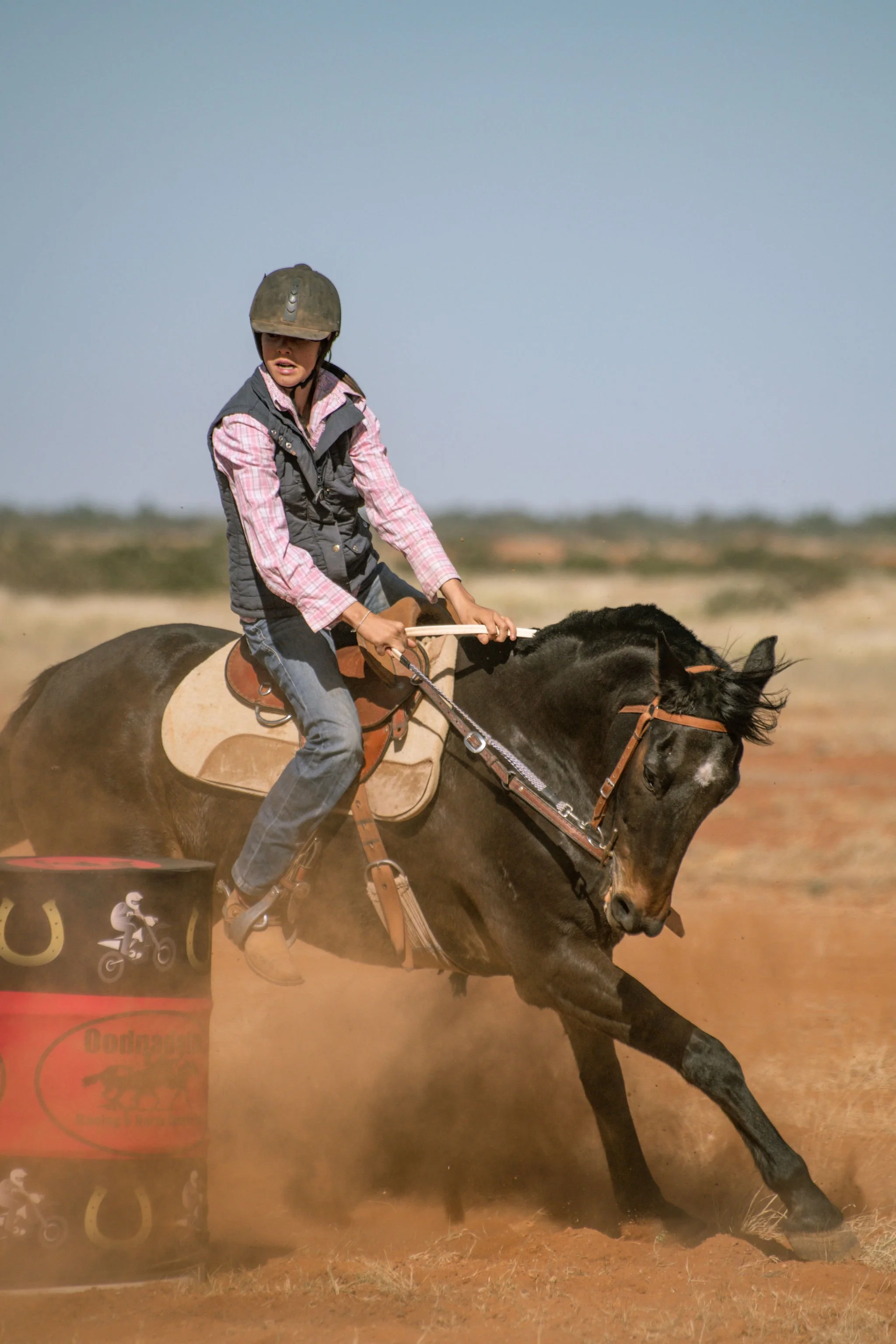 adulthorsessat-68.jpg