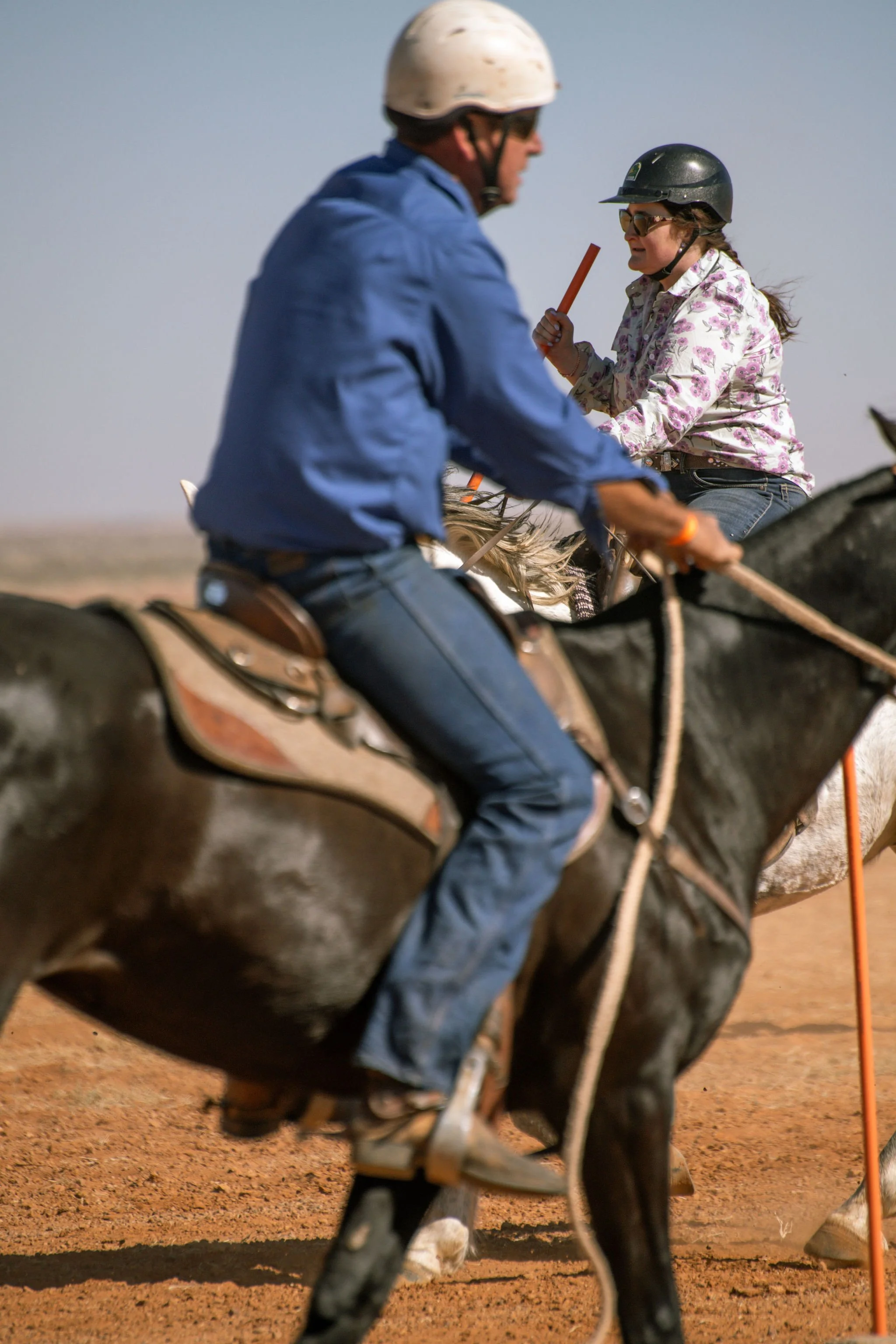 adulthorsessat-117.jpg