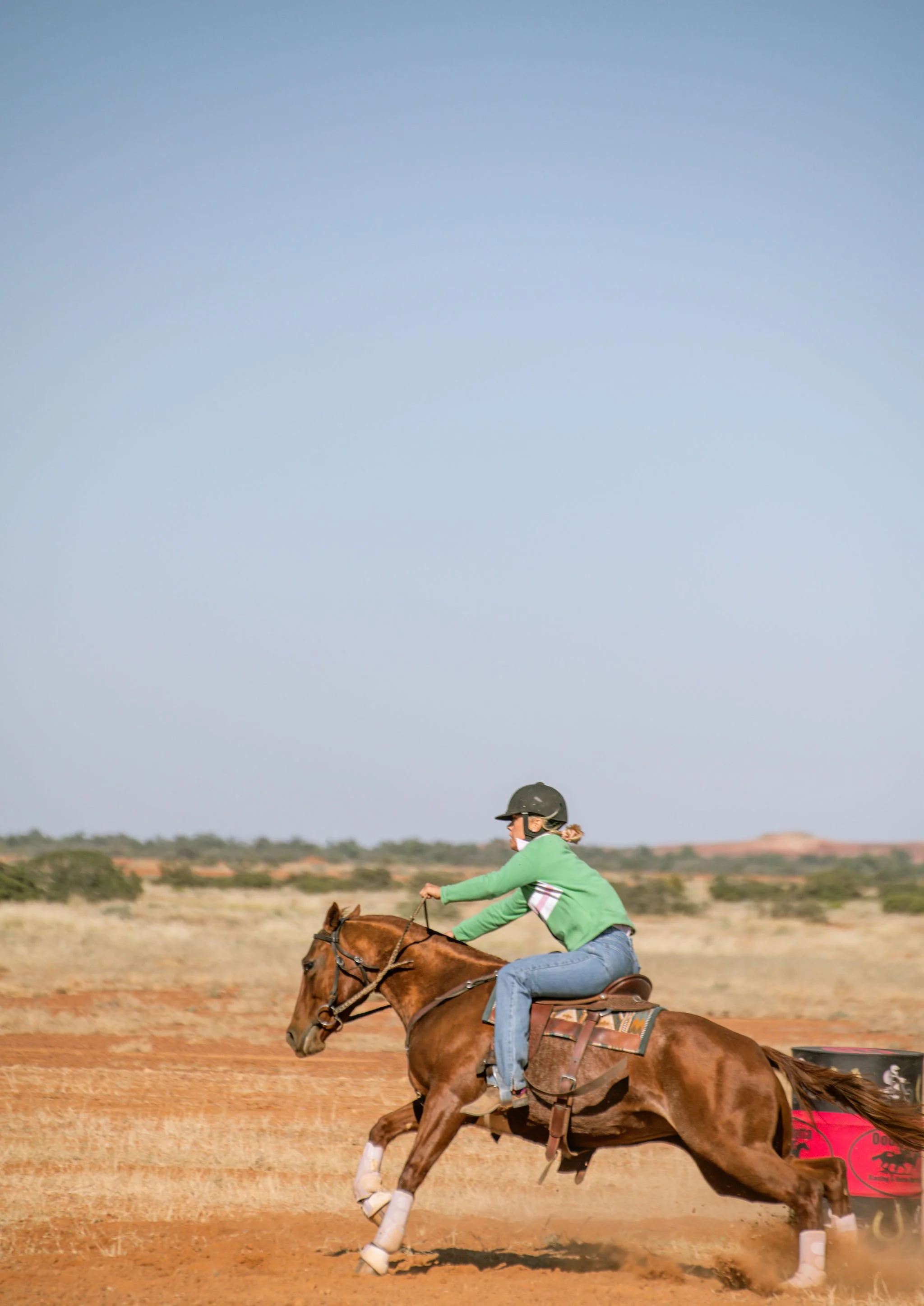 adulthorsessat-35.jpg