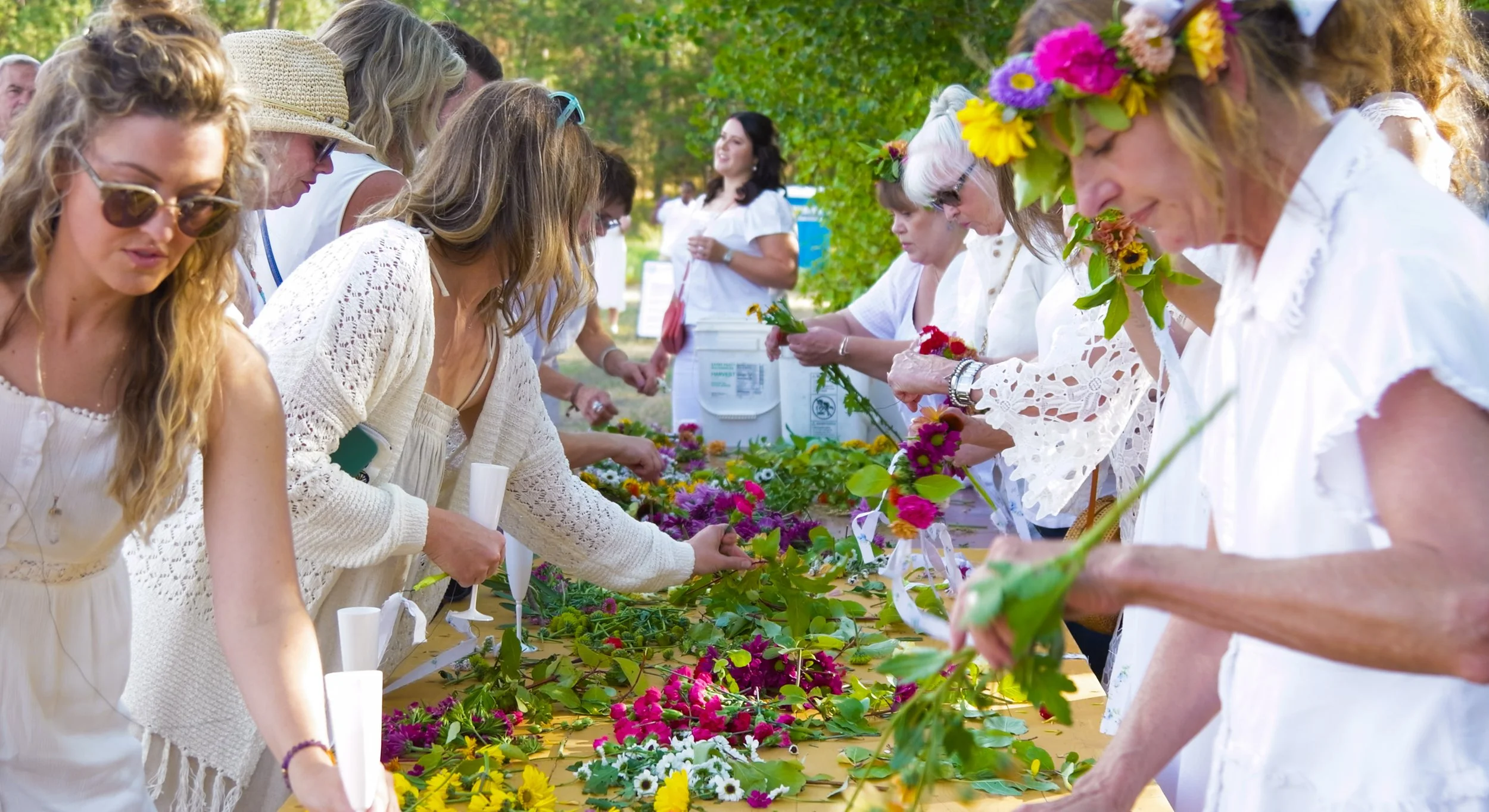 Screenshot 2026-01-29 at 1.57.40 PM.jpg