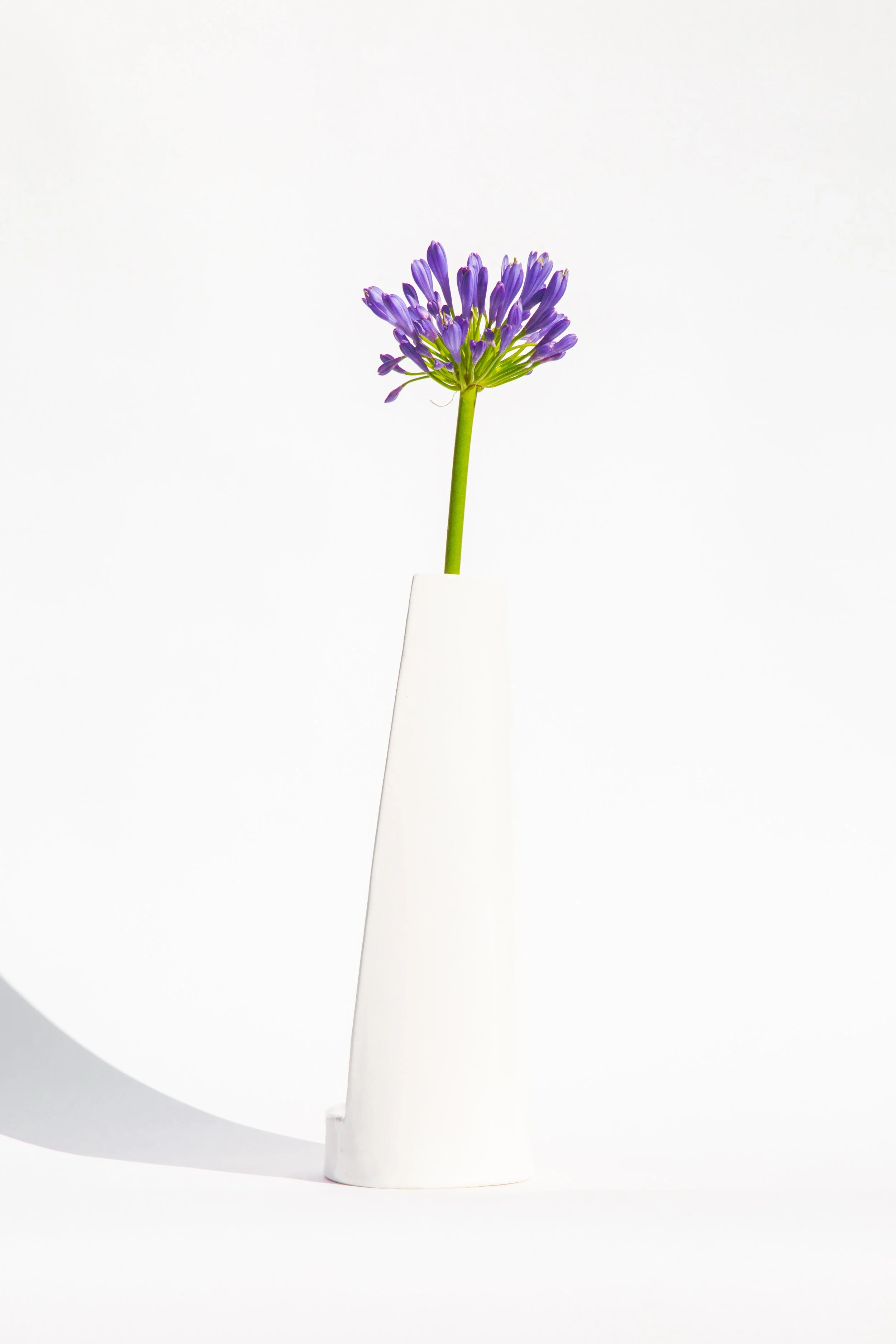 mik.vase-9104 copy.jpg