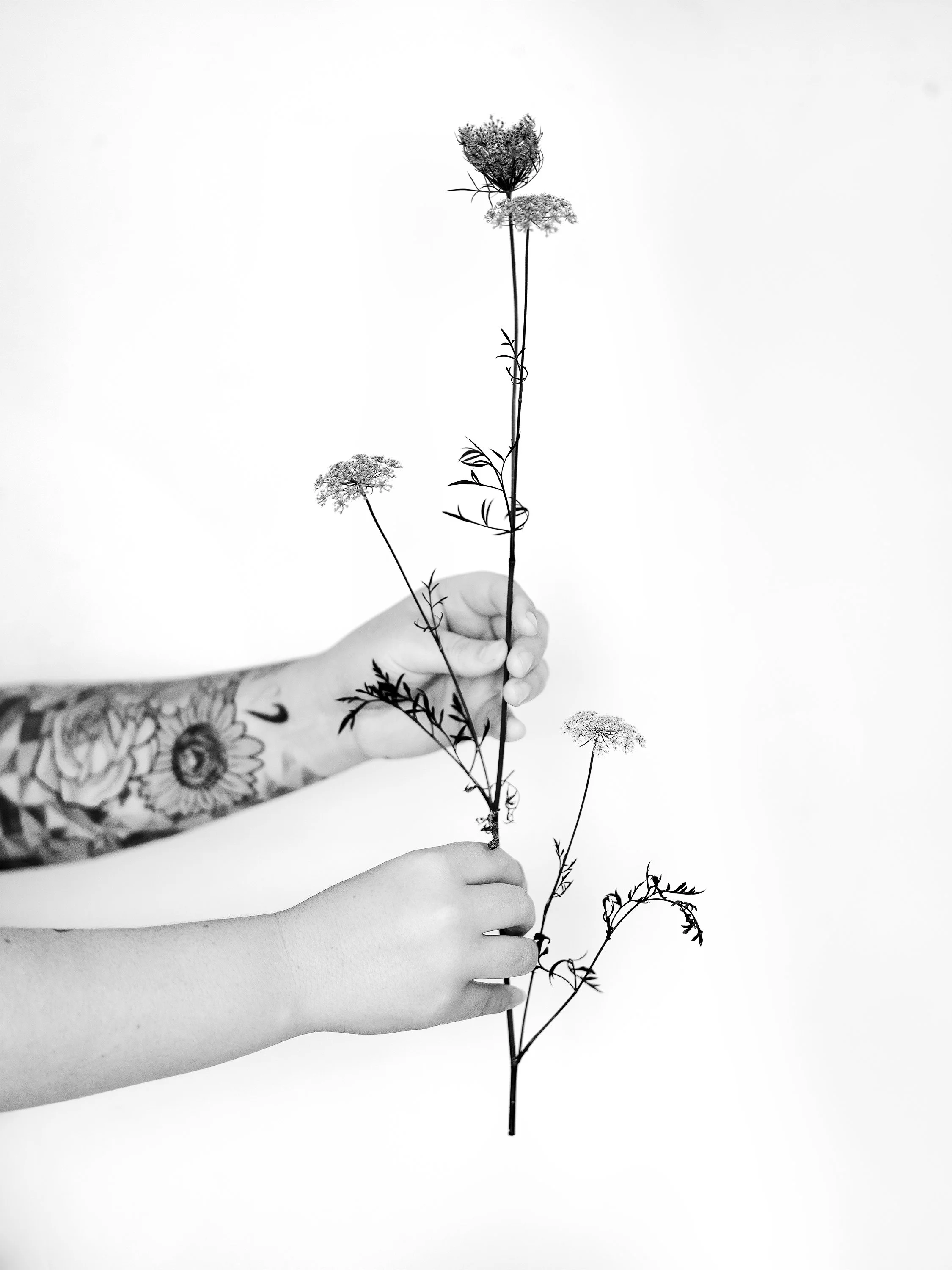 Gabbie two hands copy.jpg