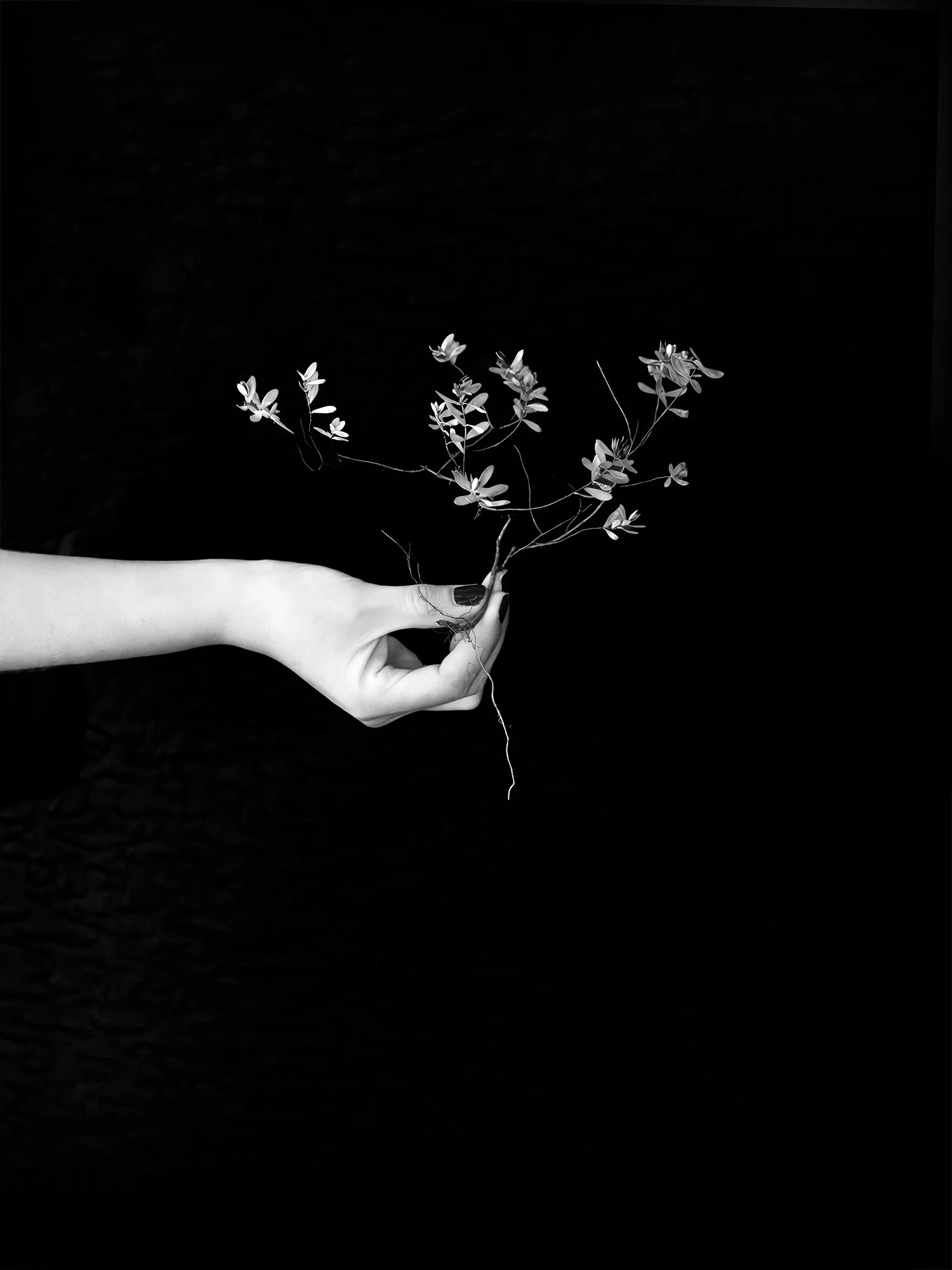 Elvira Holding Saint Andrew's Cross