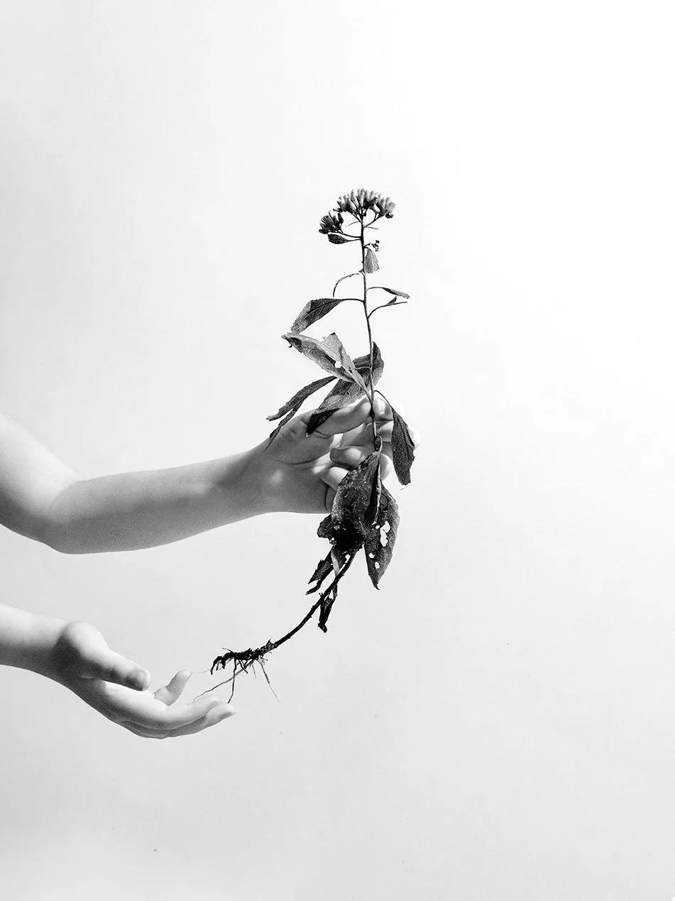 Isa with weekfrom sokol probably best copy.jpg