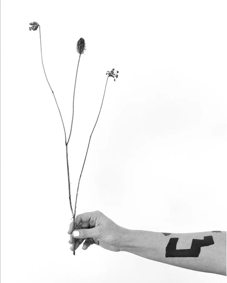 Allison_Grant_C. and Merinda Holding Queen Anne's Lace.jpg